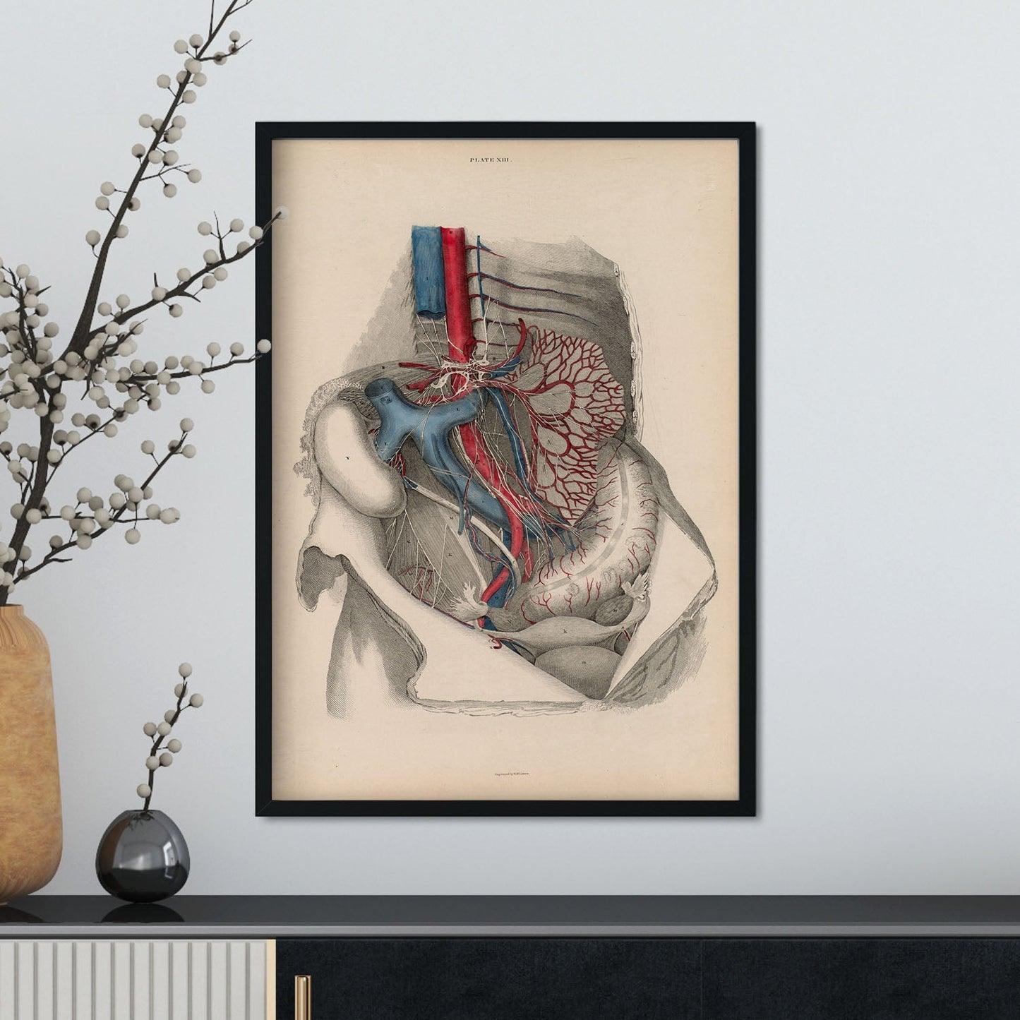 Dissection of the abdomen-Artwork-Nacnic-Nacnic Estudio SL