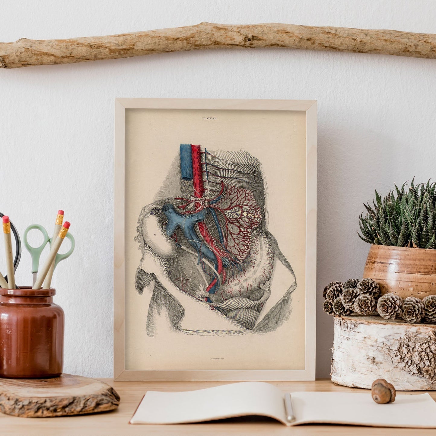 Dissection of the abdomen-Artwork-Nacnic-Nacnic Estudio SL