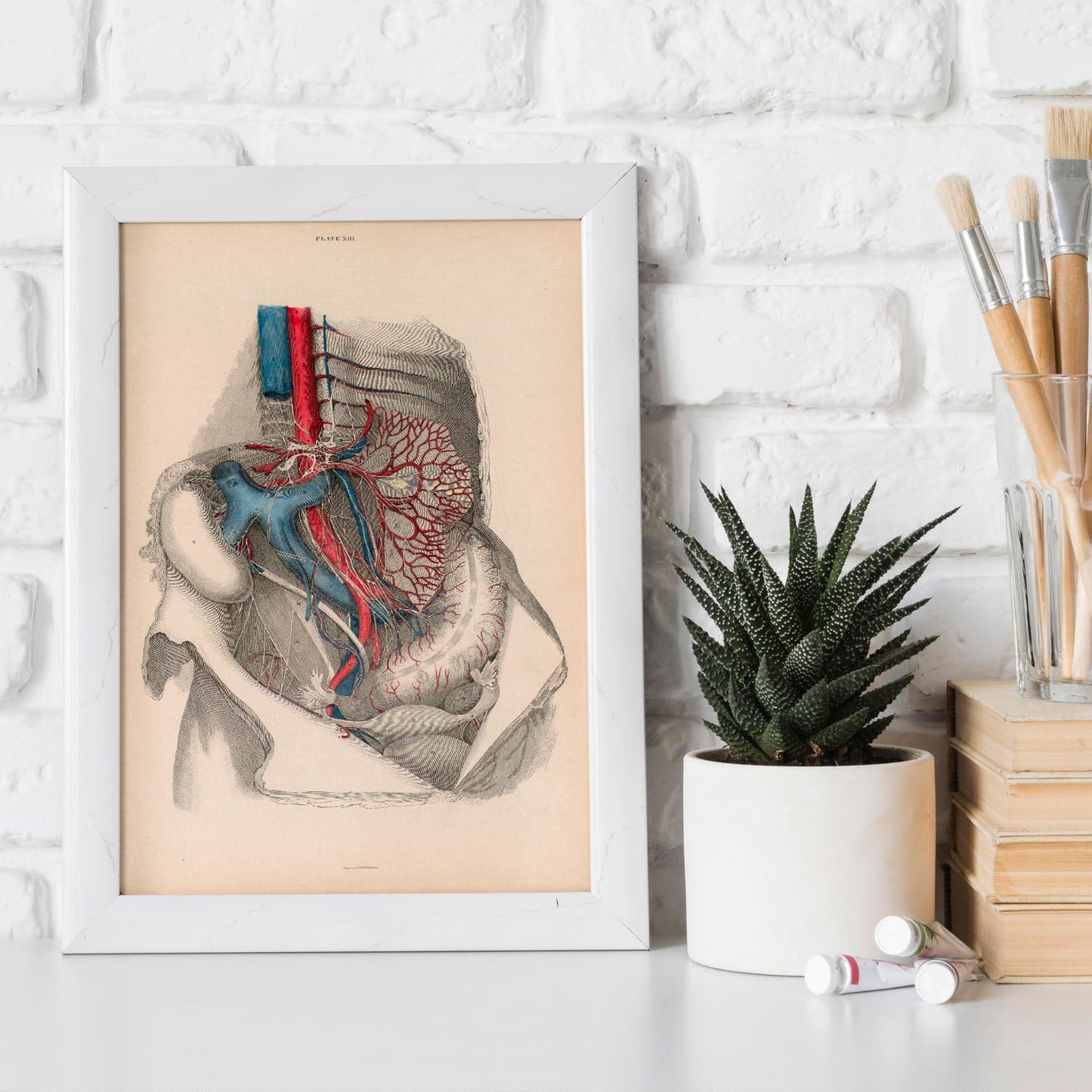 Dissection of the abdomen-Artwork-Nacnic-Nacnic Estudio SL