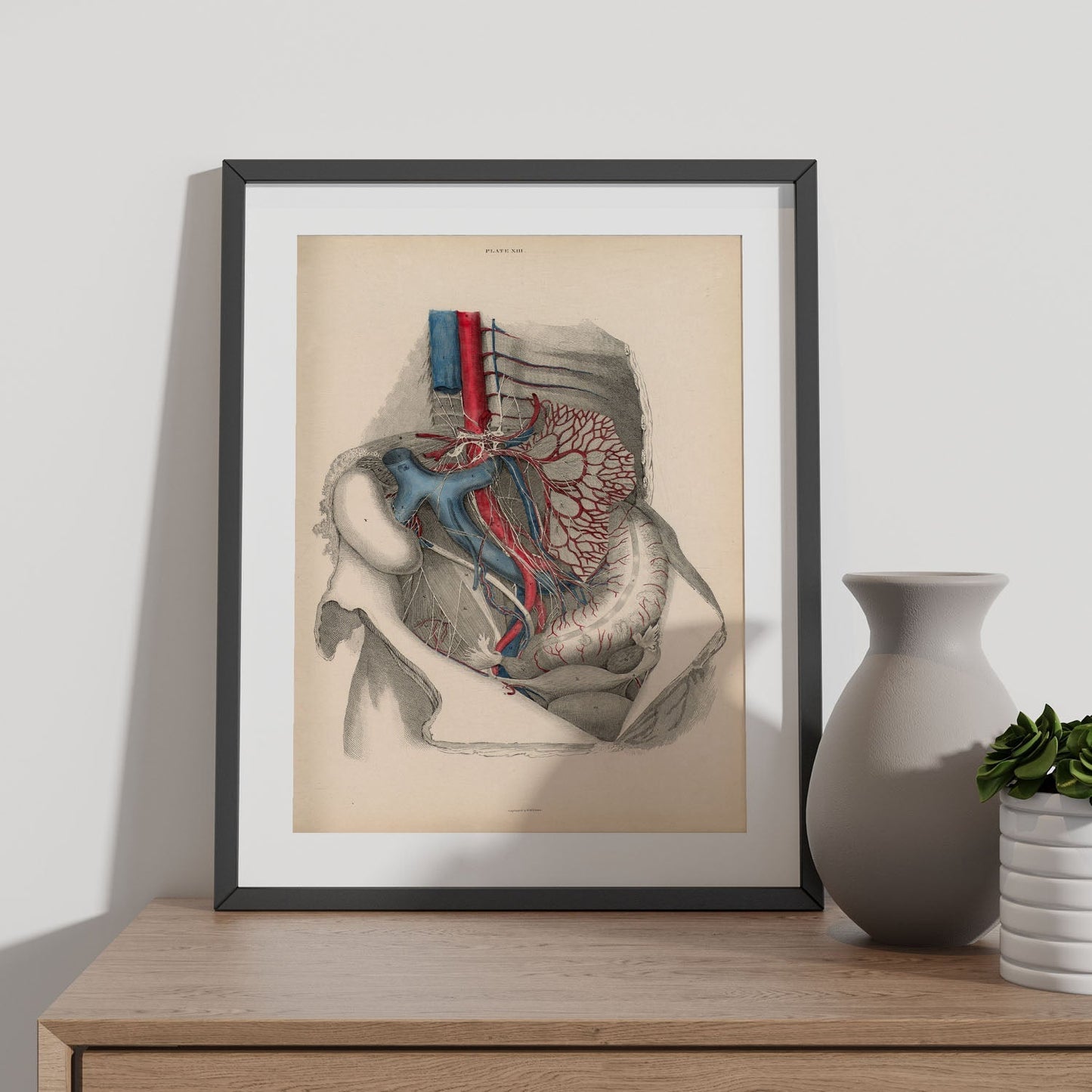 Dissection of the abdomen-Artwork-Nacnic-Nacnic Estudio SL
