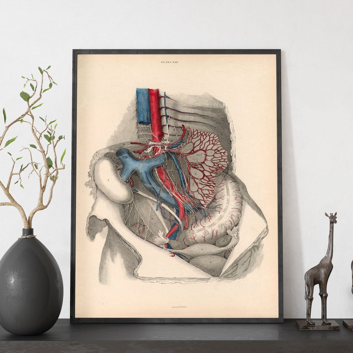 Dissection of the abdomen-Artwork-Nacnic-Nacnic Estudio SL