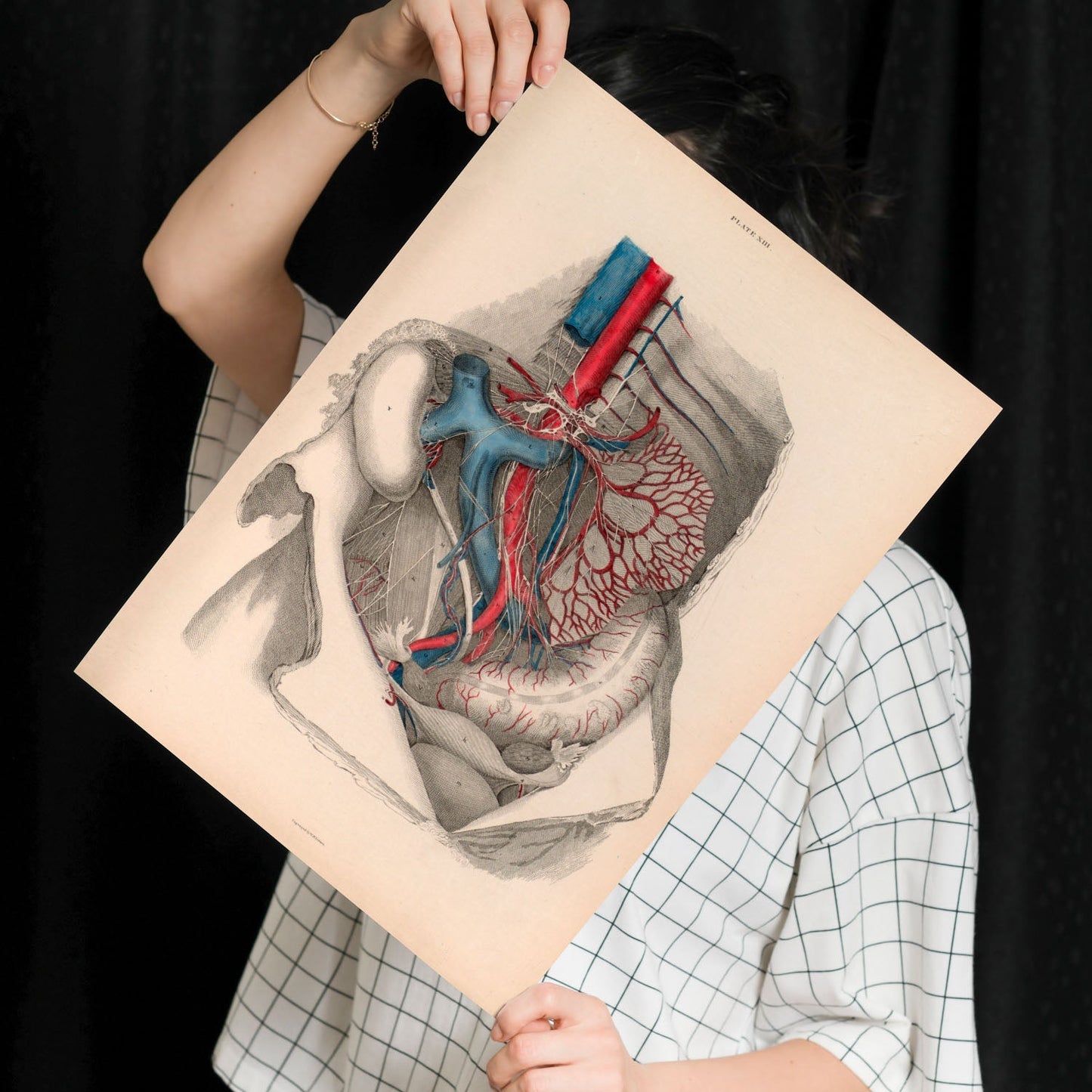 Dissection of the abdomen-Artwork-Nacnic-Nacnic Estudio SL