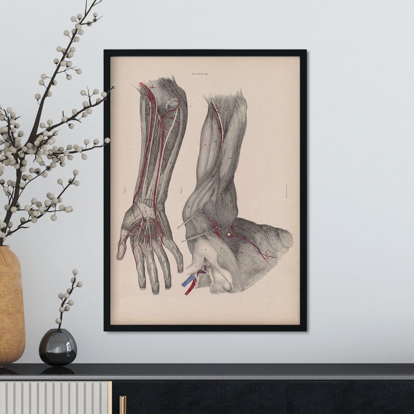 Dissection of the arm and hand-Artwork-Nacnic-Nacnic Estudio SL