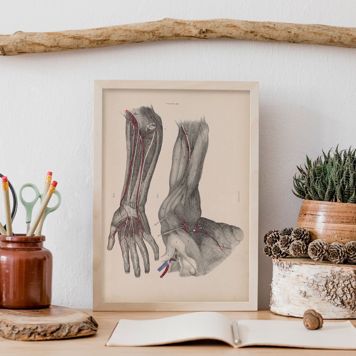 Dissection of the arm and hand-Artwork-Nacnic-Nacnic Estudio SL