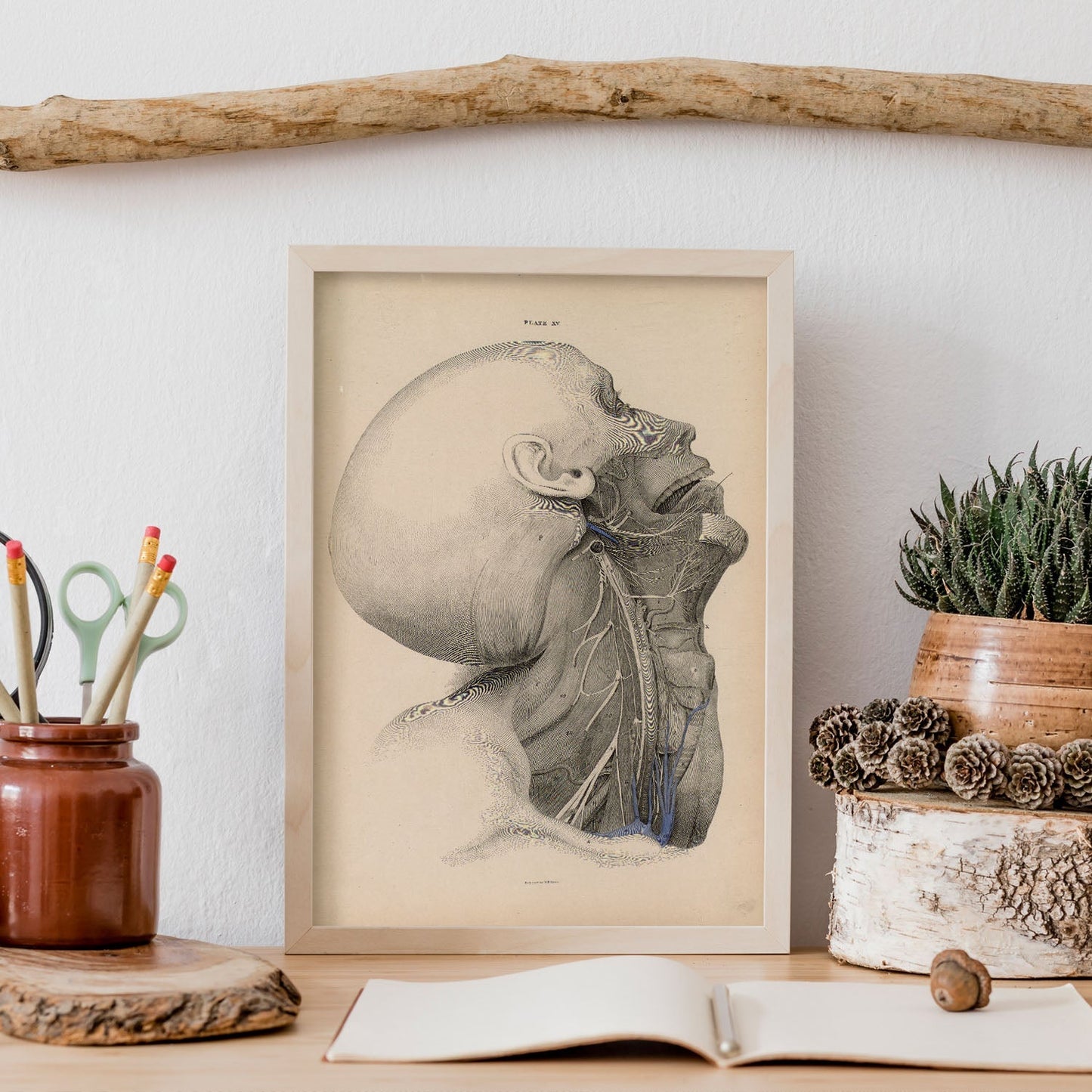 Dissection of the face and neck-Artwork-Nacnic-Nacnic Estudio SL