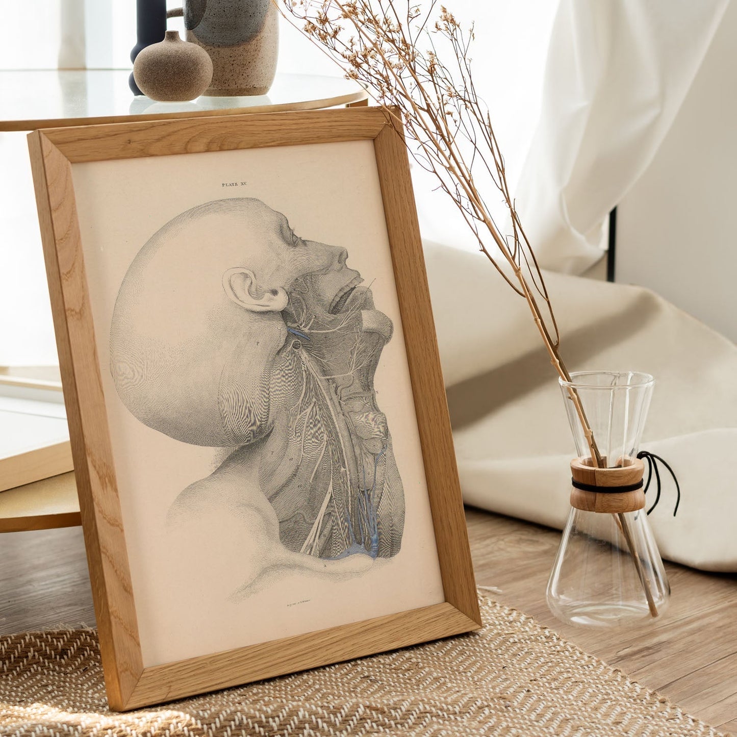 Dissection of the face and neck-Artwork-Nacnic-Nacnic Estudio SL