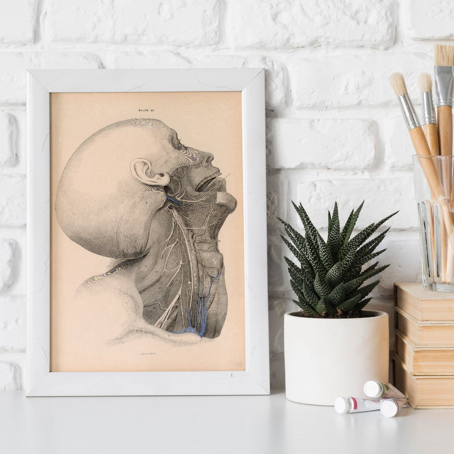 Dissection of the face and neck-Artwork-Nacnic-Nacnic Estudio SL