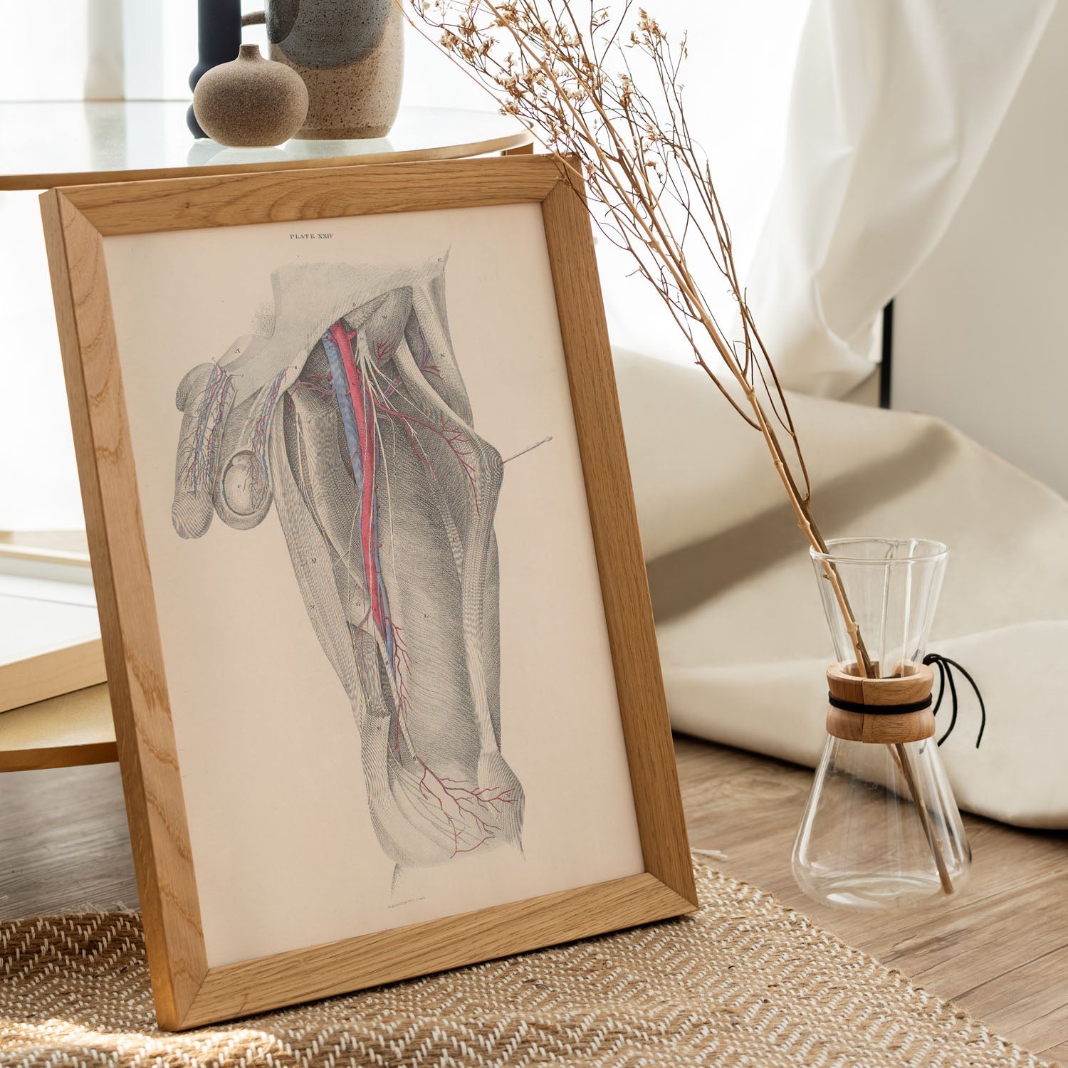 Dissection of the groin-Artwork-Nacnic-Nacnic Estudio SL