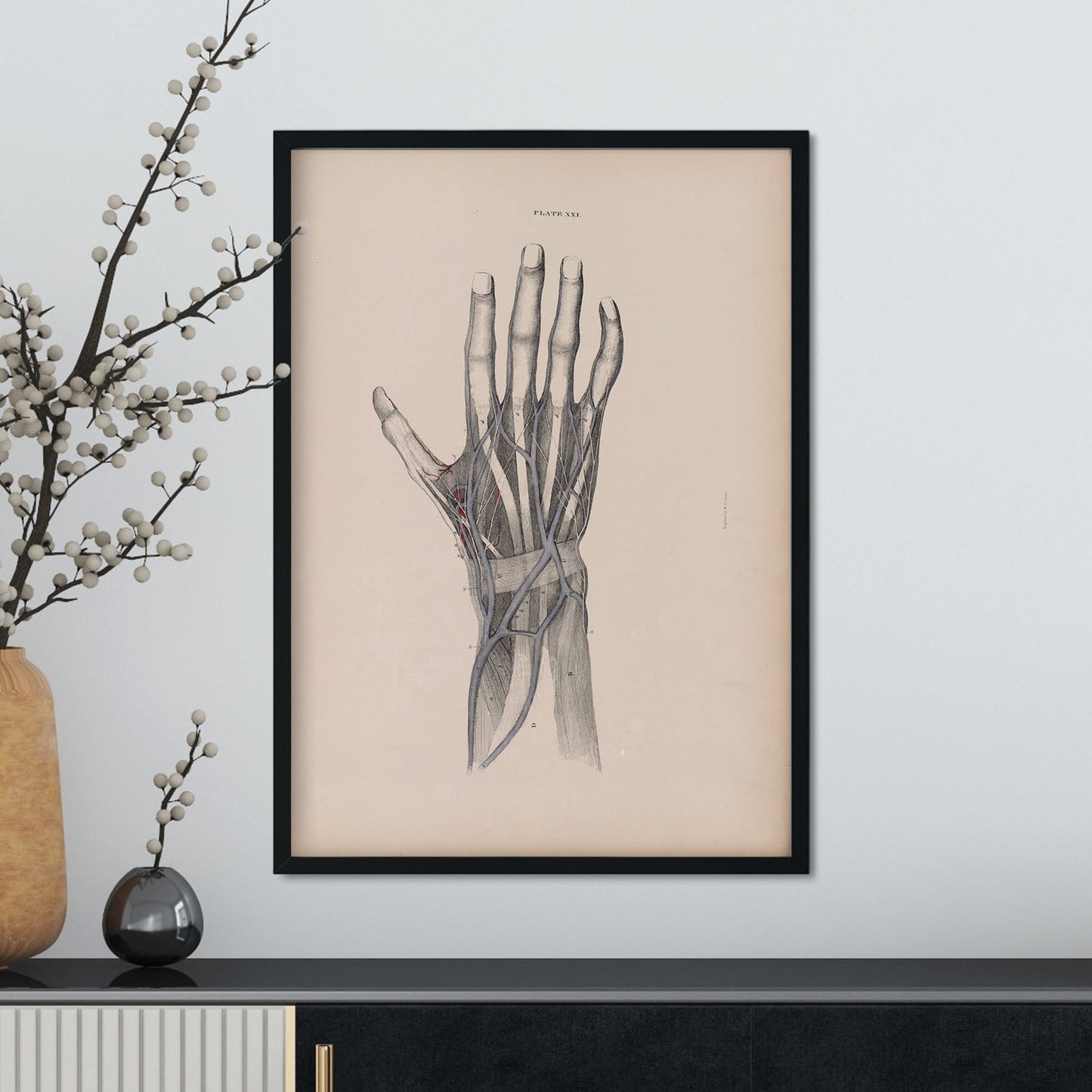 Dissection of the hand-Artwork-Nacnic-Nacnic Estudio SL