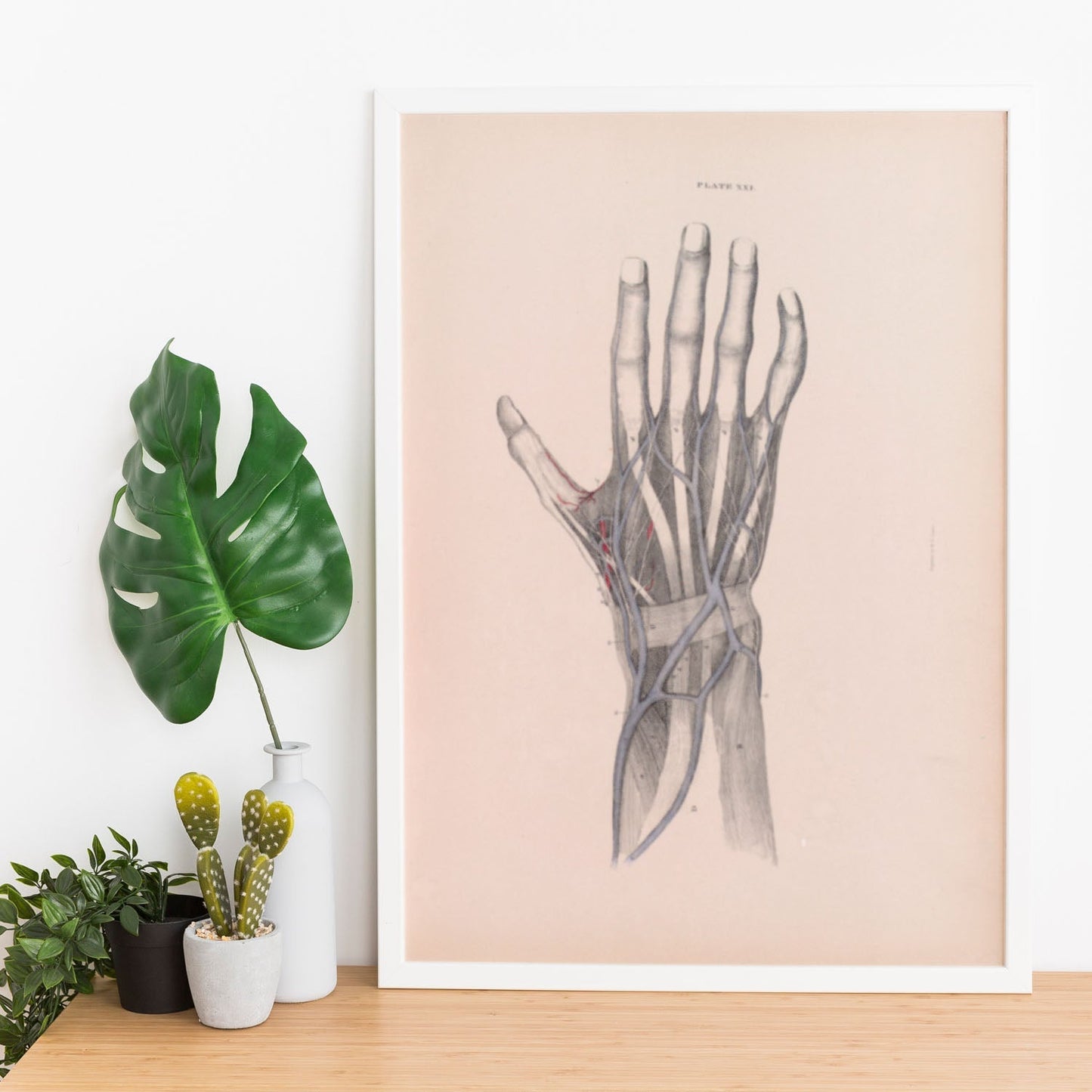 Dissection of the hand-Artwork-Nacnic-Nacnic Estudio SL