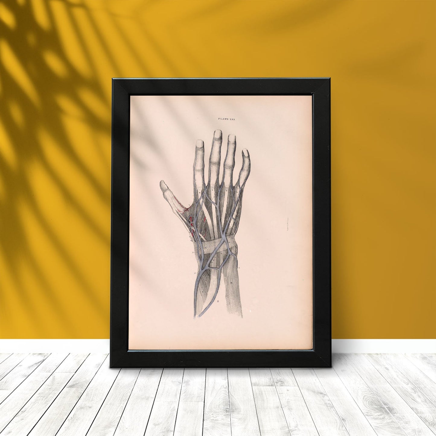Dissection of the hand-Artwork-Nacnic-Nacnic Estudio SL