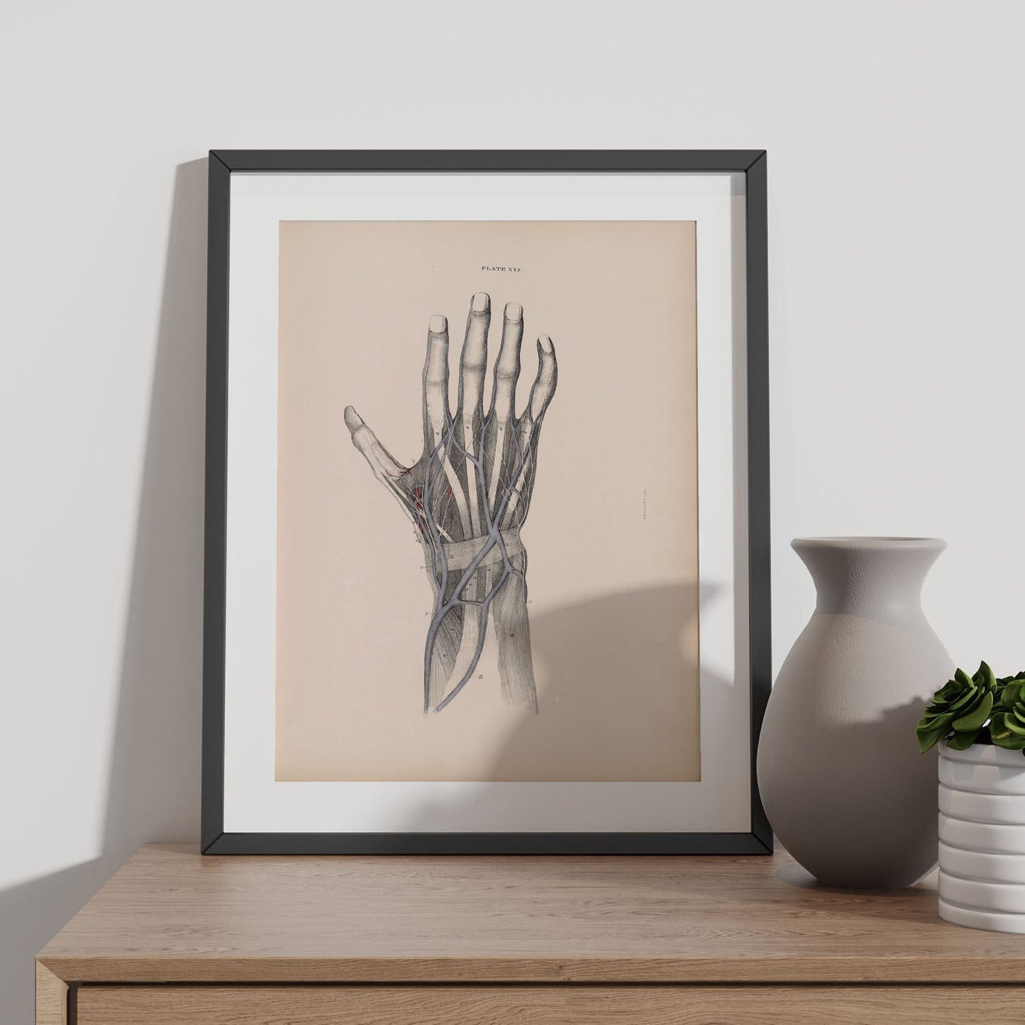 Dissection of the hand-Artwork-Nacnic-Nacnic Estudio SL