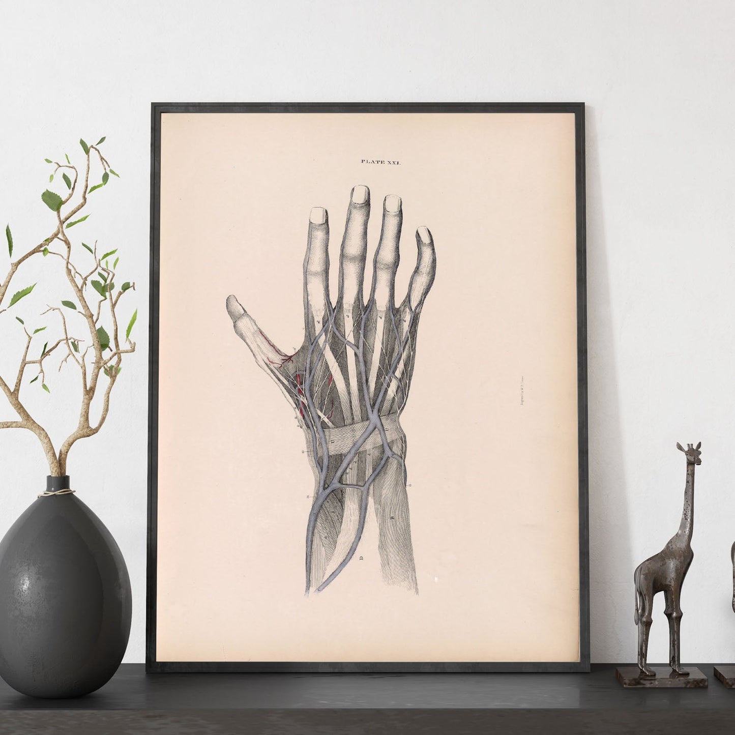 Dissection of the hand-Artwork-Nacnic-Nacnic Estudio SL