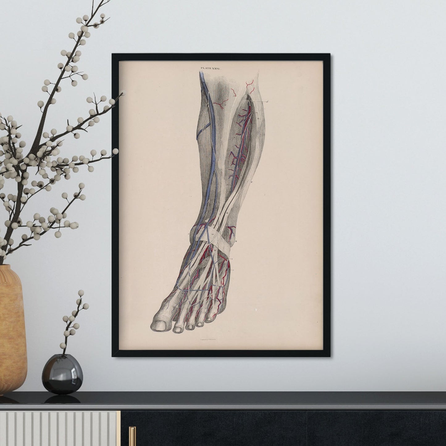 Dissection of the lower leg-Artwork-Nacnic-Nacnic Estudio SL