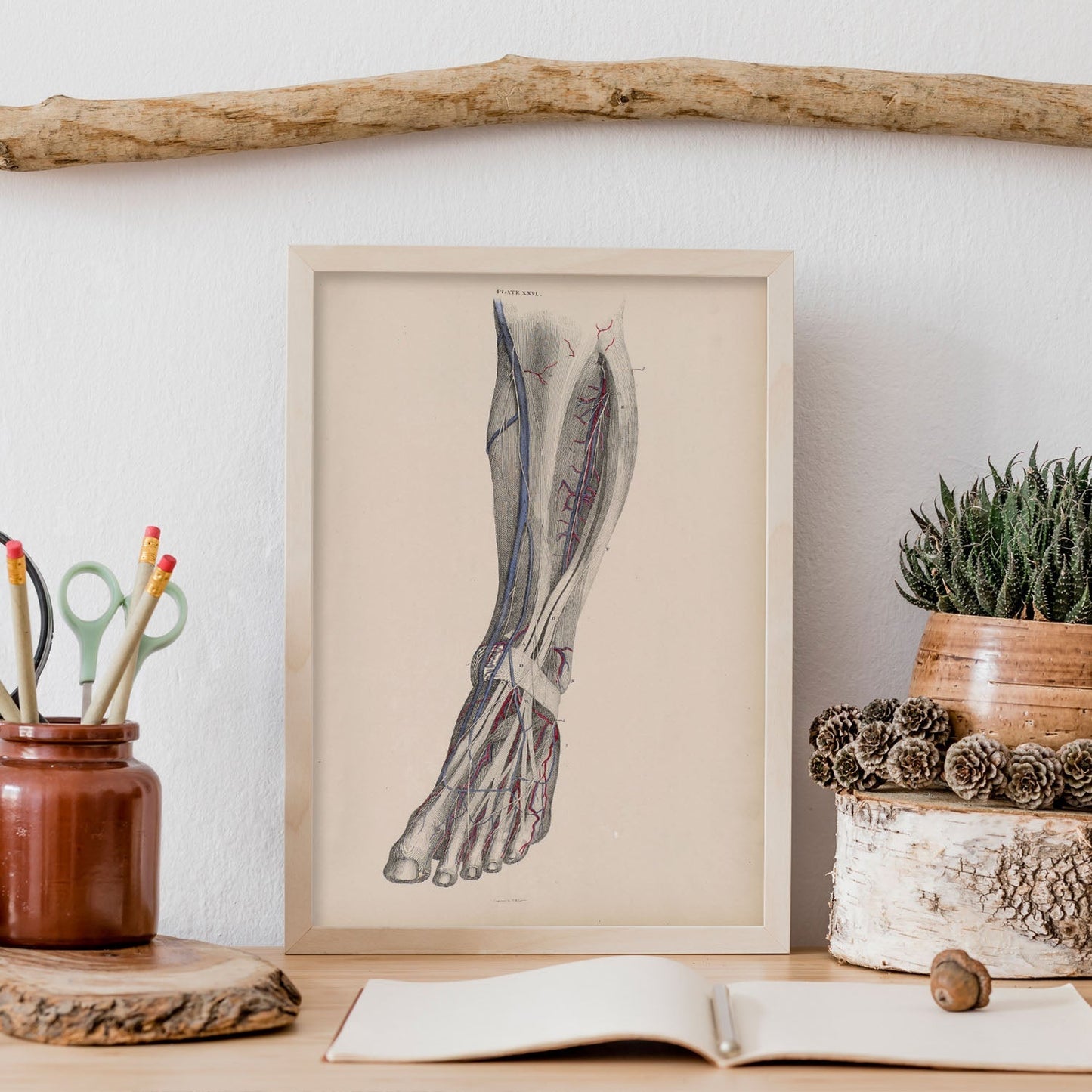 Dissection of the lower leg-Artwork-Nacnic-Nacnic Estudio SL