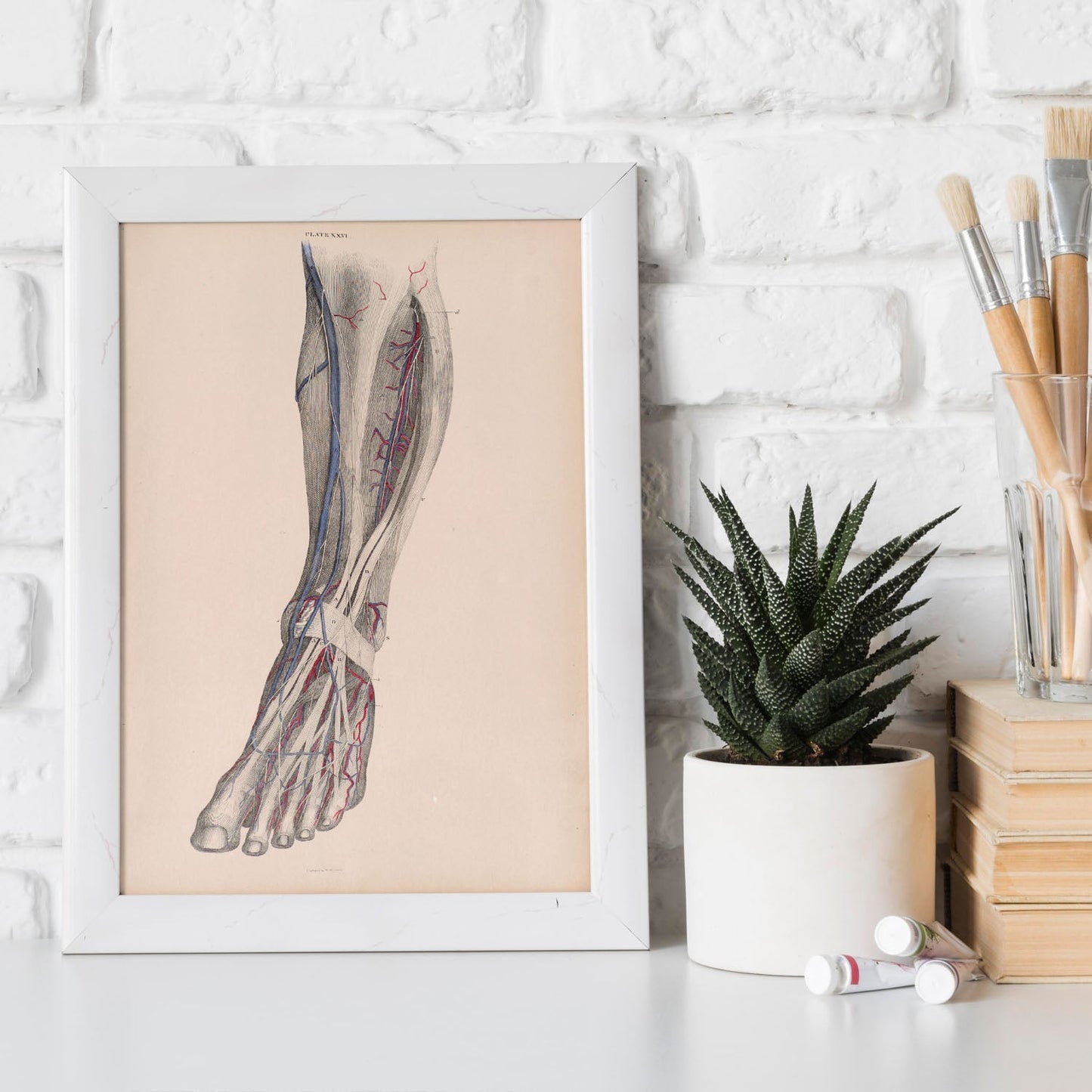 Dissection of the lower leg-Artwork-Nacnic-Nacnic Estudio SL
