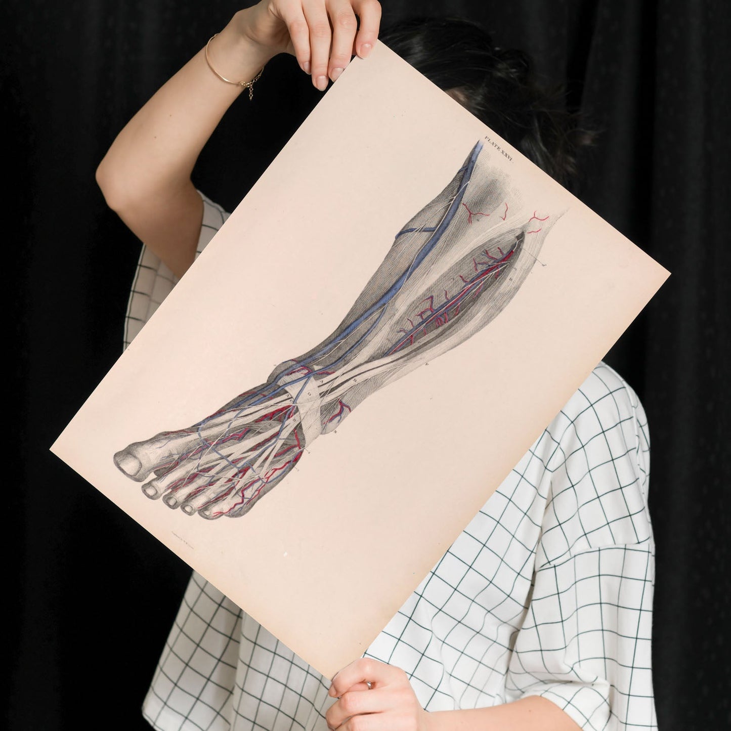 Dissection of the lower leg-Artwork-Nacnic-Nacnic Estudio SL