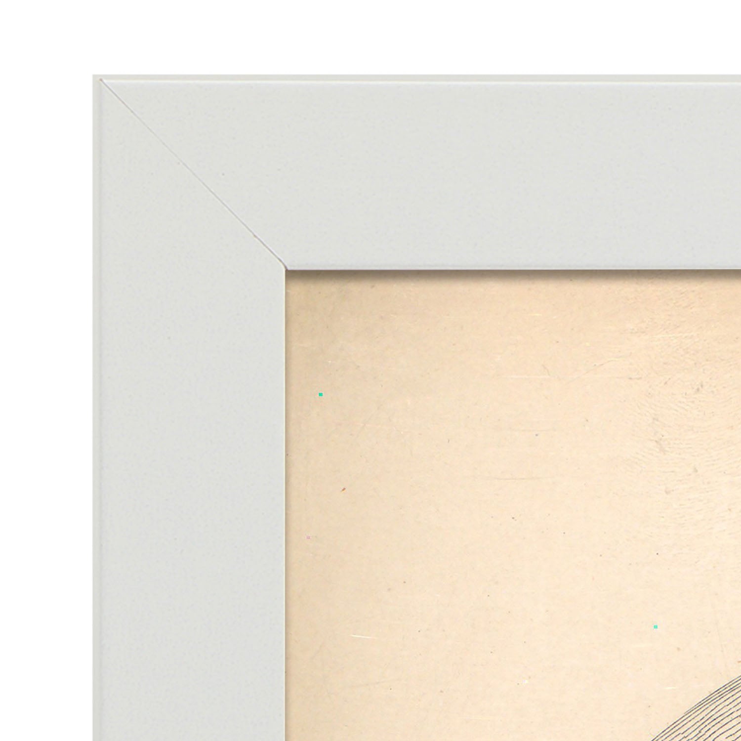 Dissection of the neck-Artwork-Nacnic-Nacnic Estudio SL