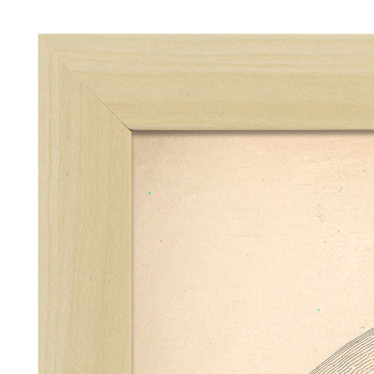 Dissection of the neck-Artwork-Nacnic-Nacnic Estudio SL