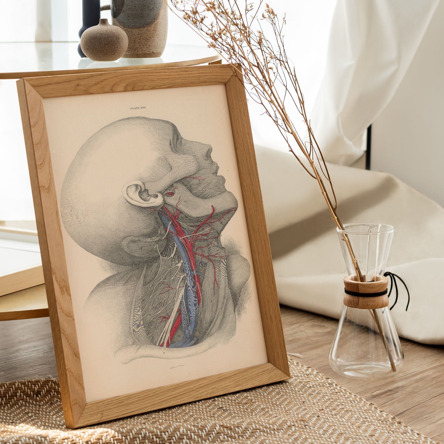 Dissection of the neck-Artwork-Nacnic-Nacnic Estudio SL