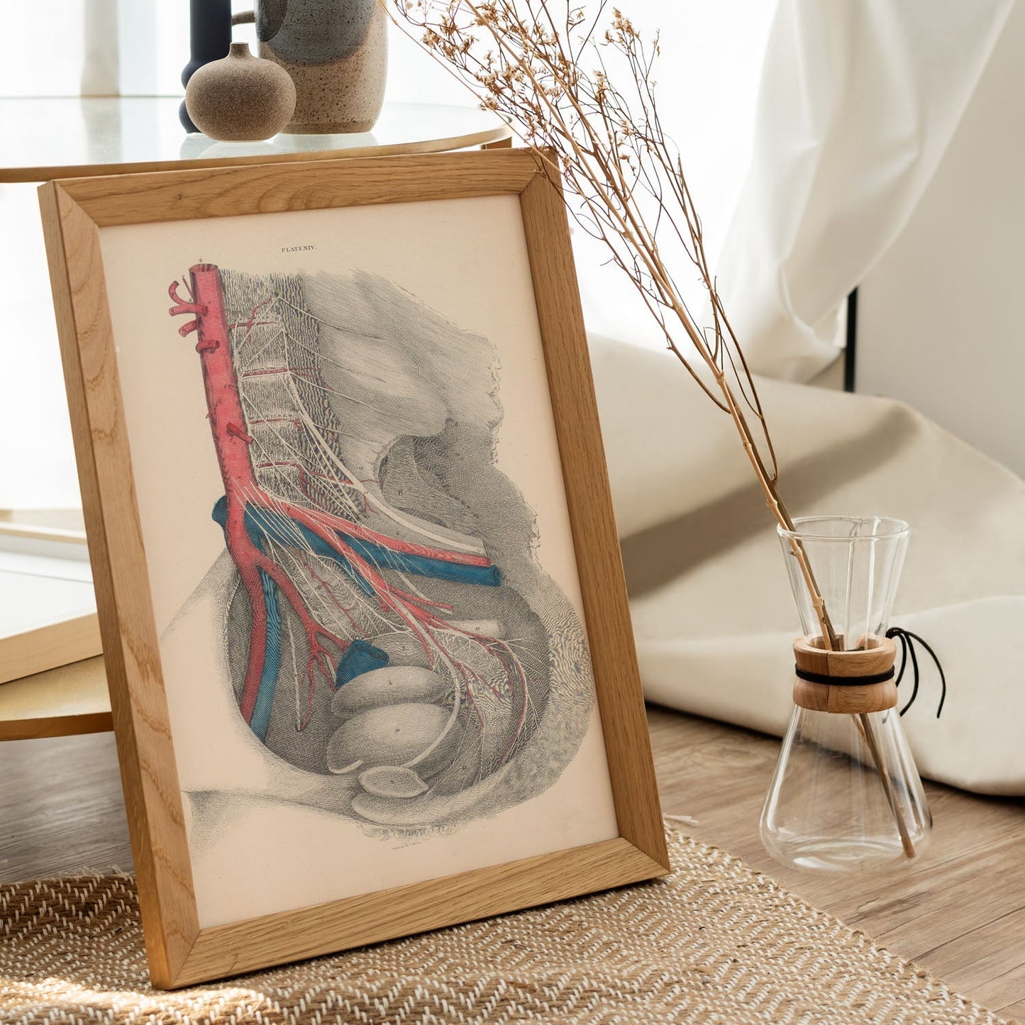 Dissection of the pelvis-Artwork-Nacnic-Nacnic Estudio SL