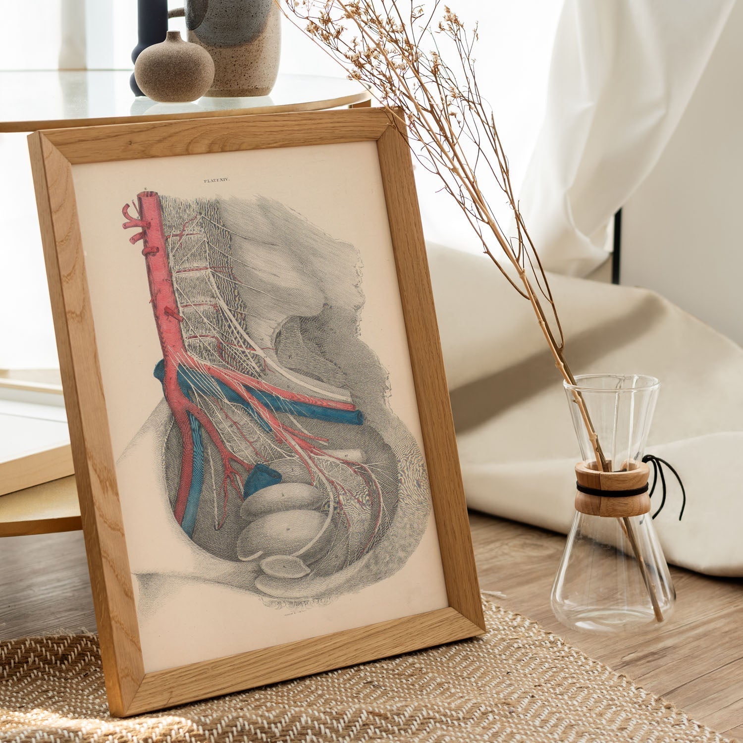 Dissection of the pelvis-Artwork-Nacnic-Nacnic Estudio SL