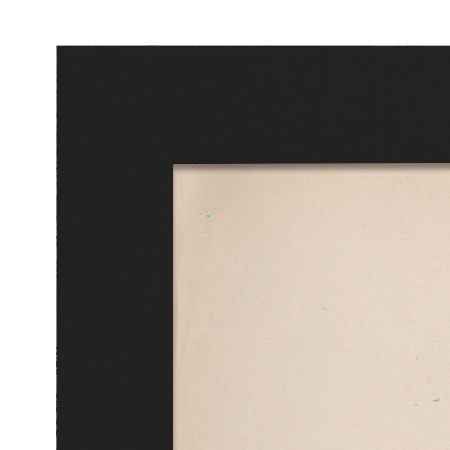 Dissection of the pelvis, urogenital system, male-Artwork-Nacnic-Nacnic Estudio SL