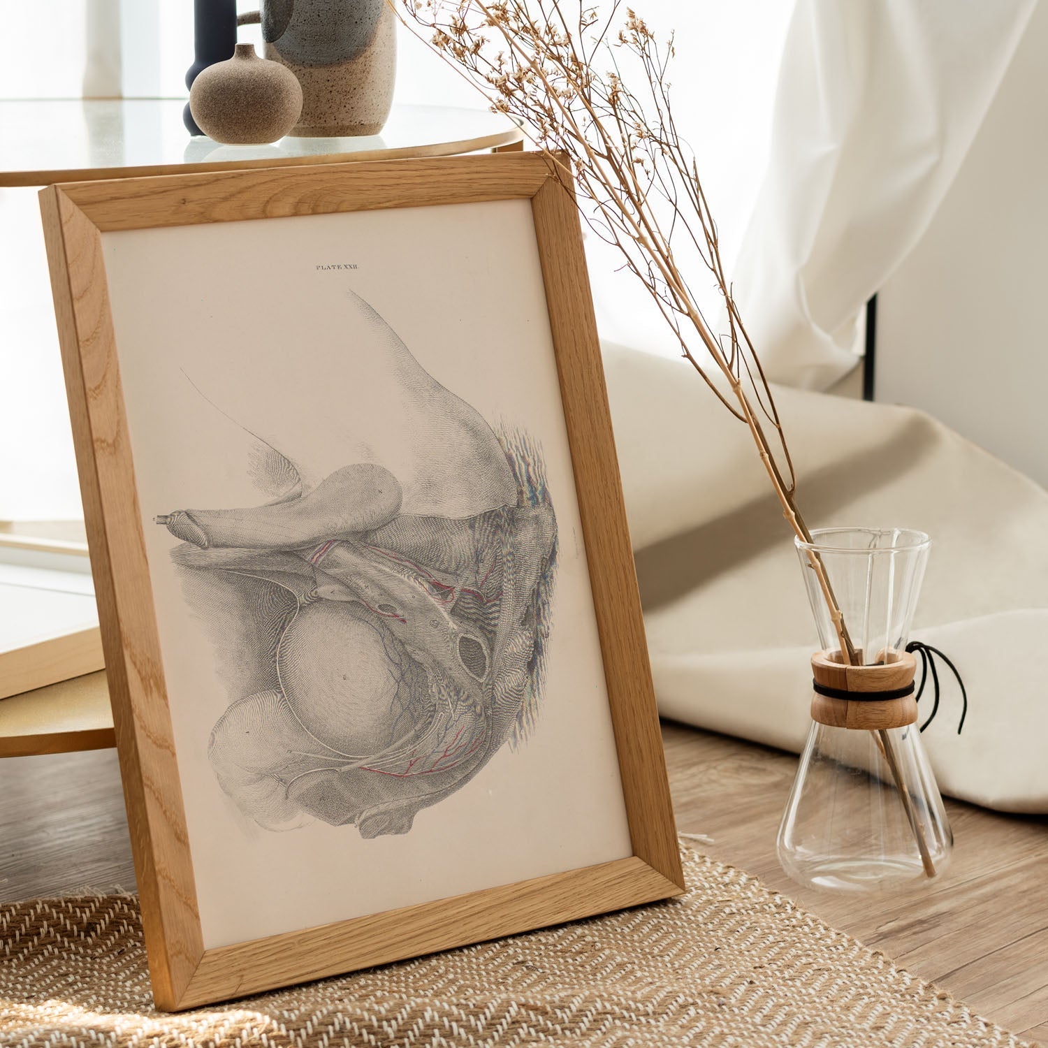 Dissection of the pelvis, urogenital system, male-Artwork-Nacnic-Nacnic Estudio SL