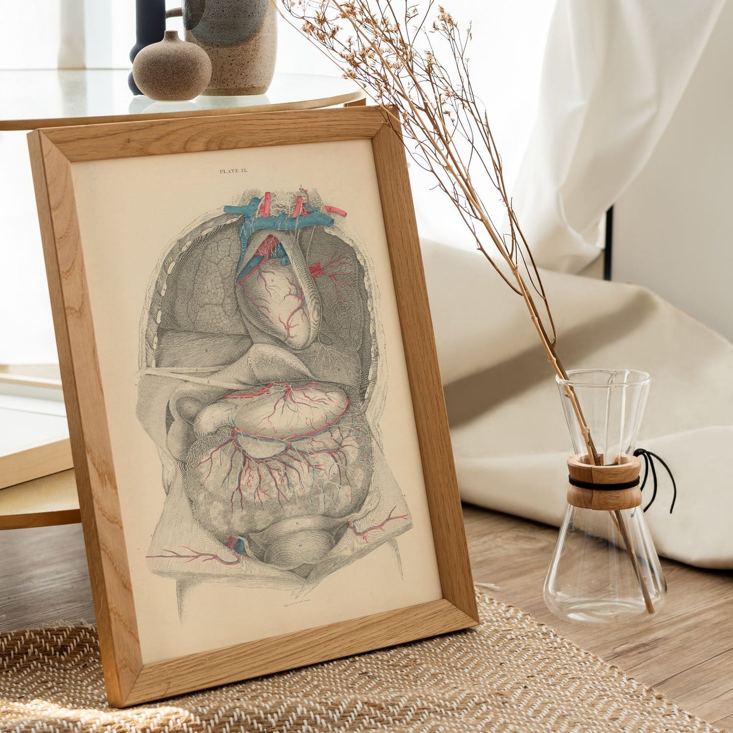 Dissection of the thorax and abdomen-Artwork-Nacnic-Nacnic Estudio SL
