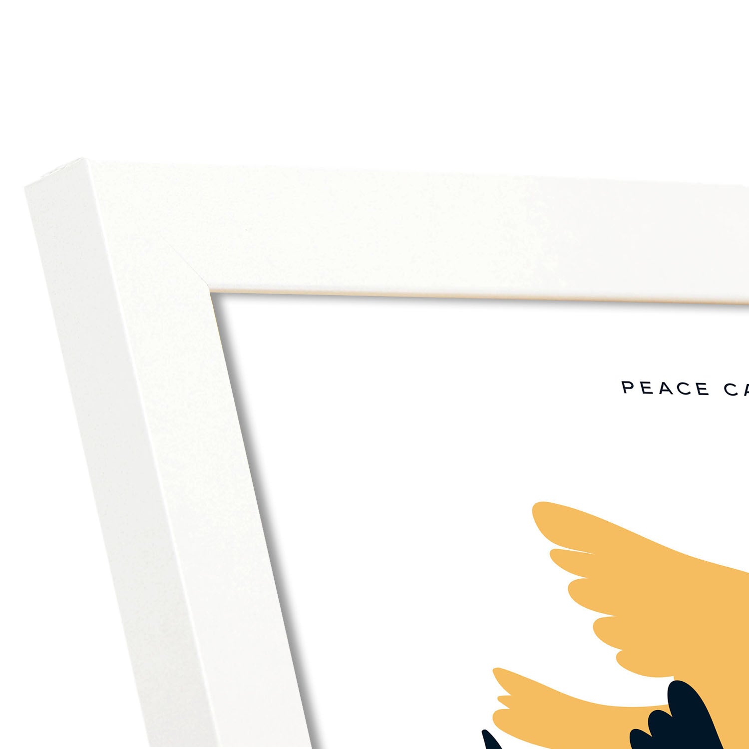 Doves-Artwork-Nacnic-Nacnic Estudio SL