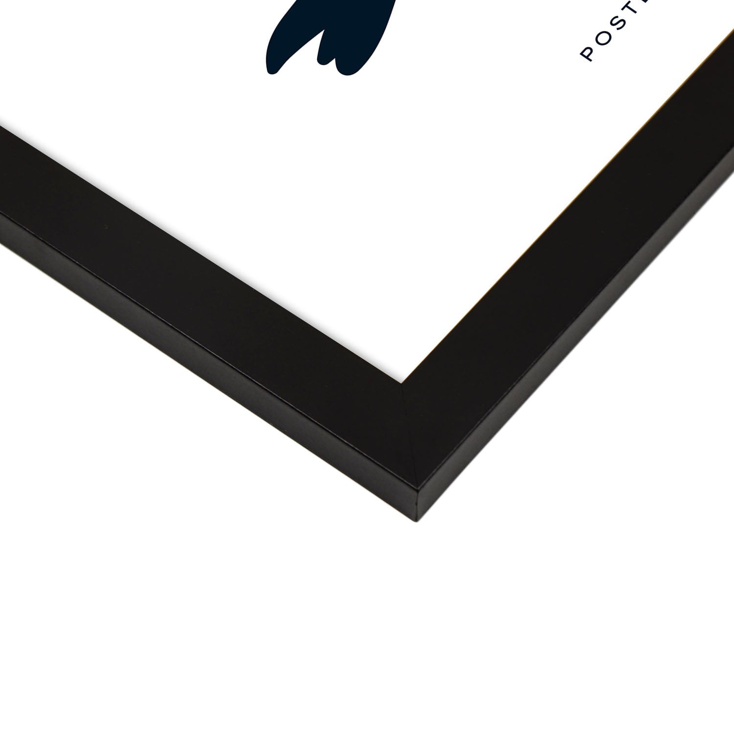 Doves-Artwork-Nacnic-Nacnic Estudio SL