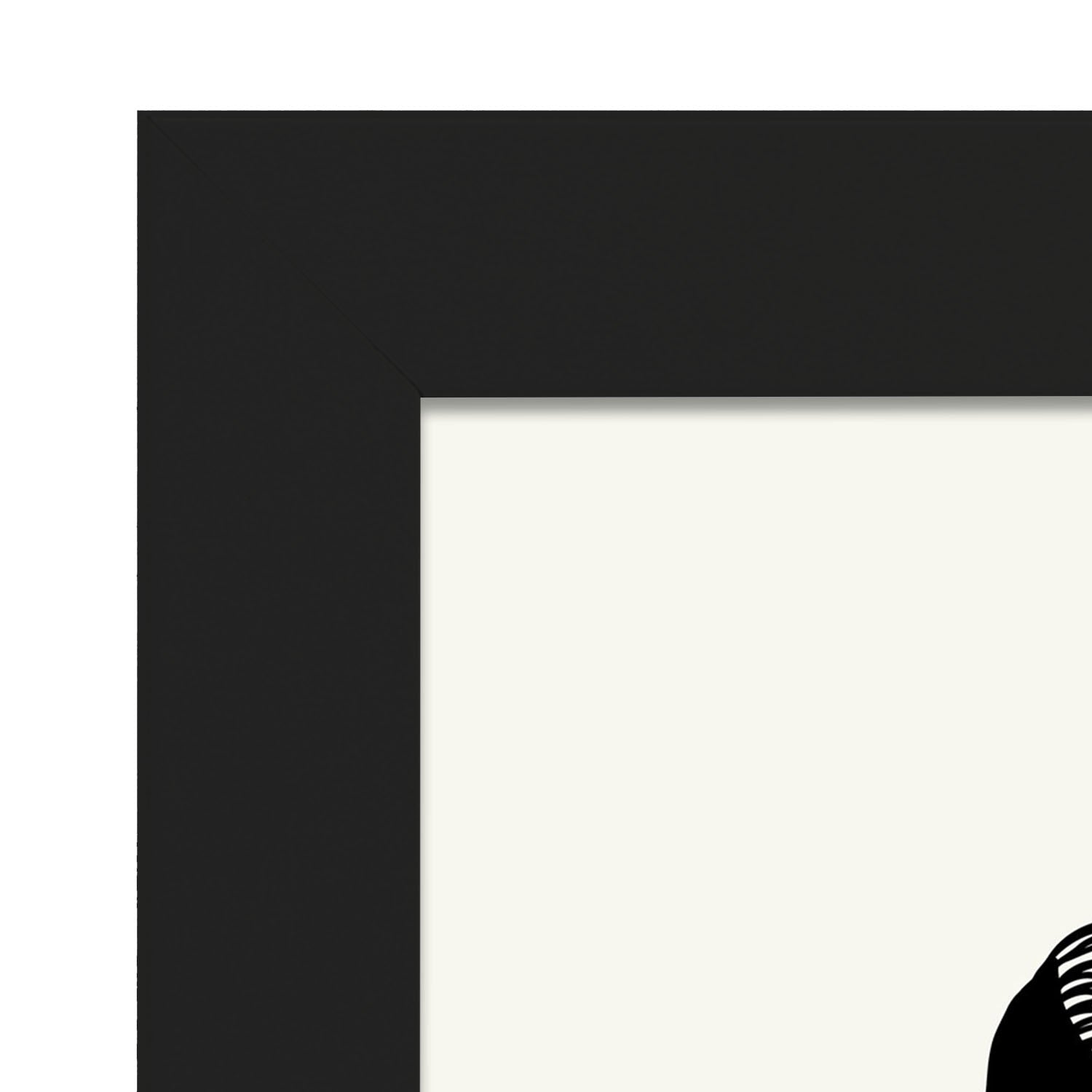 Eels-Artwork-Nacnic-Nacnic Estudio SL