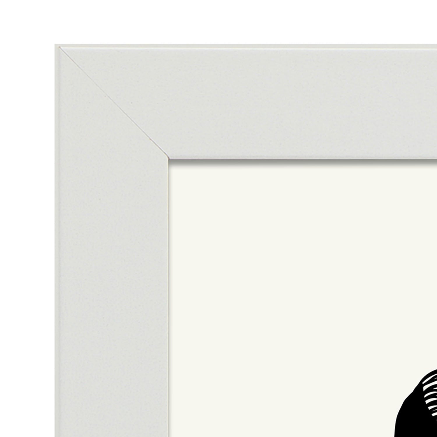 Eels-Artwork-Nacnic-Nacnic Estudio SL