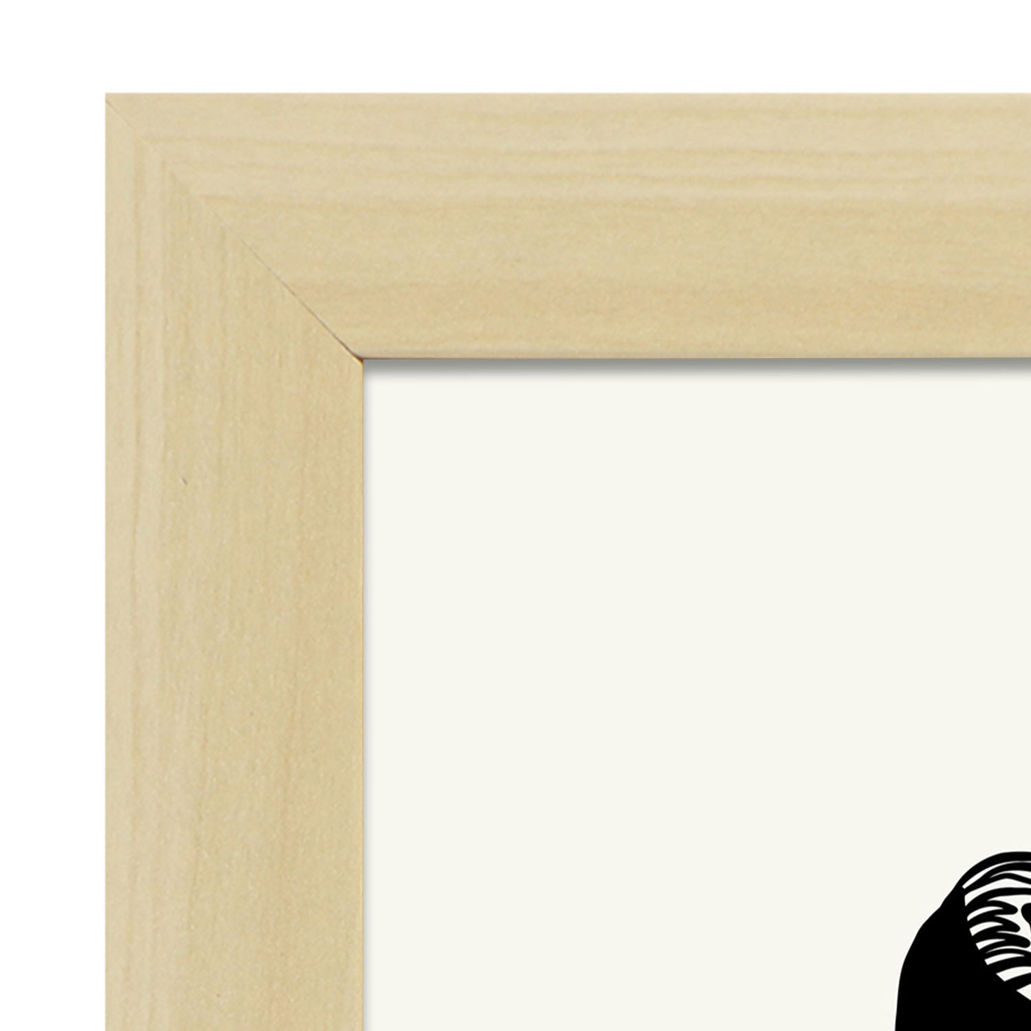 Eels-Artwork-Nacnic-Nacnic Estudio SL