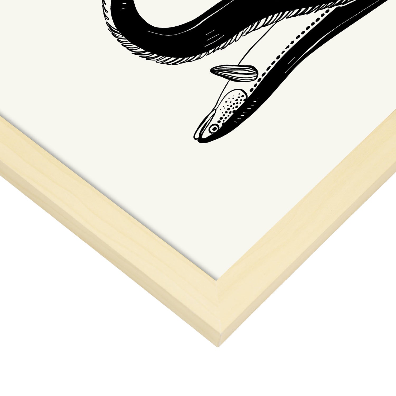 Eels-Artwork-Nacnic-Nacnic Estudio SL