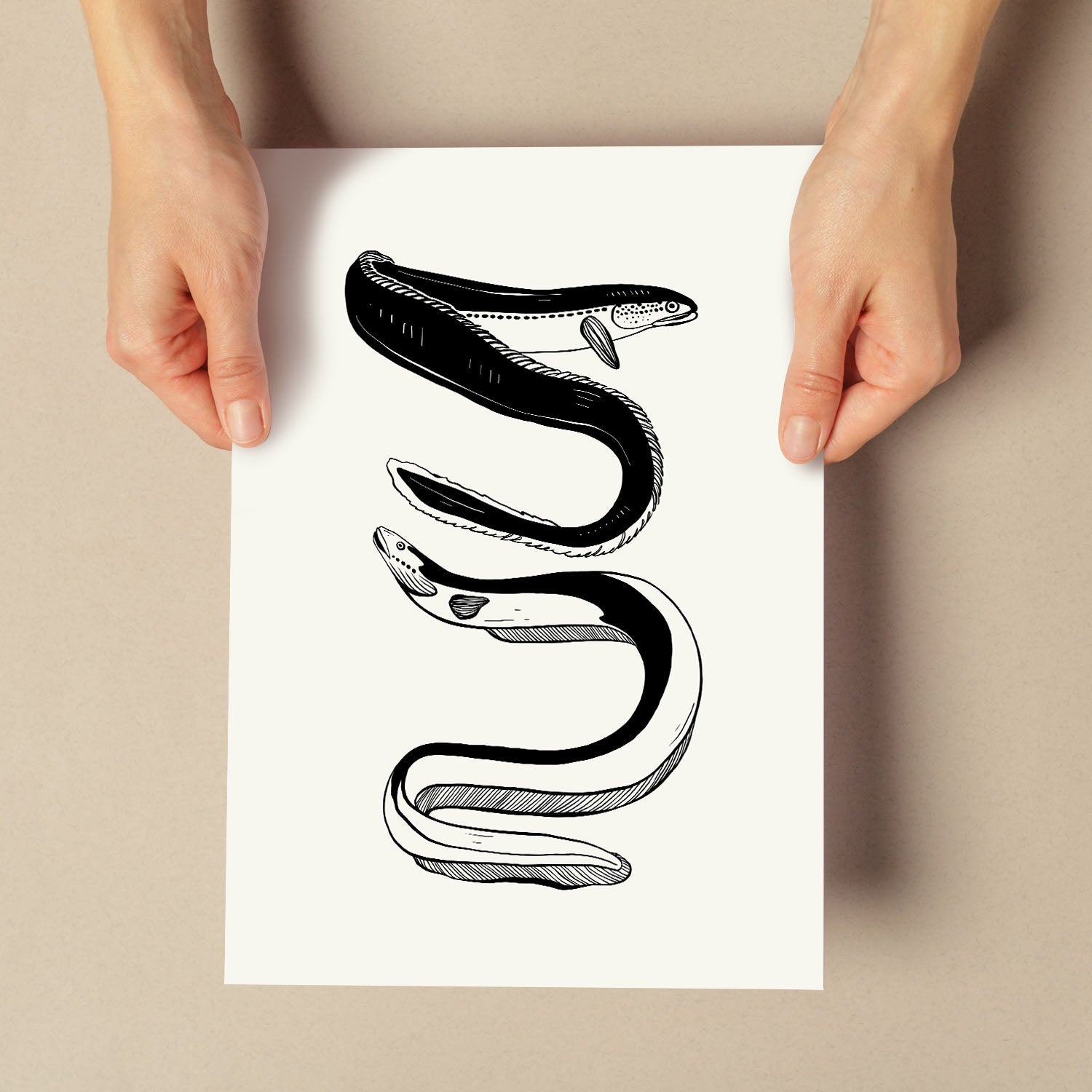 Eels-Artwork-Nacnic-Nacnic Estudio SL