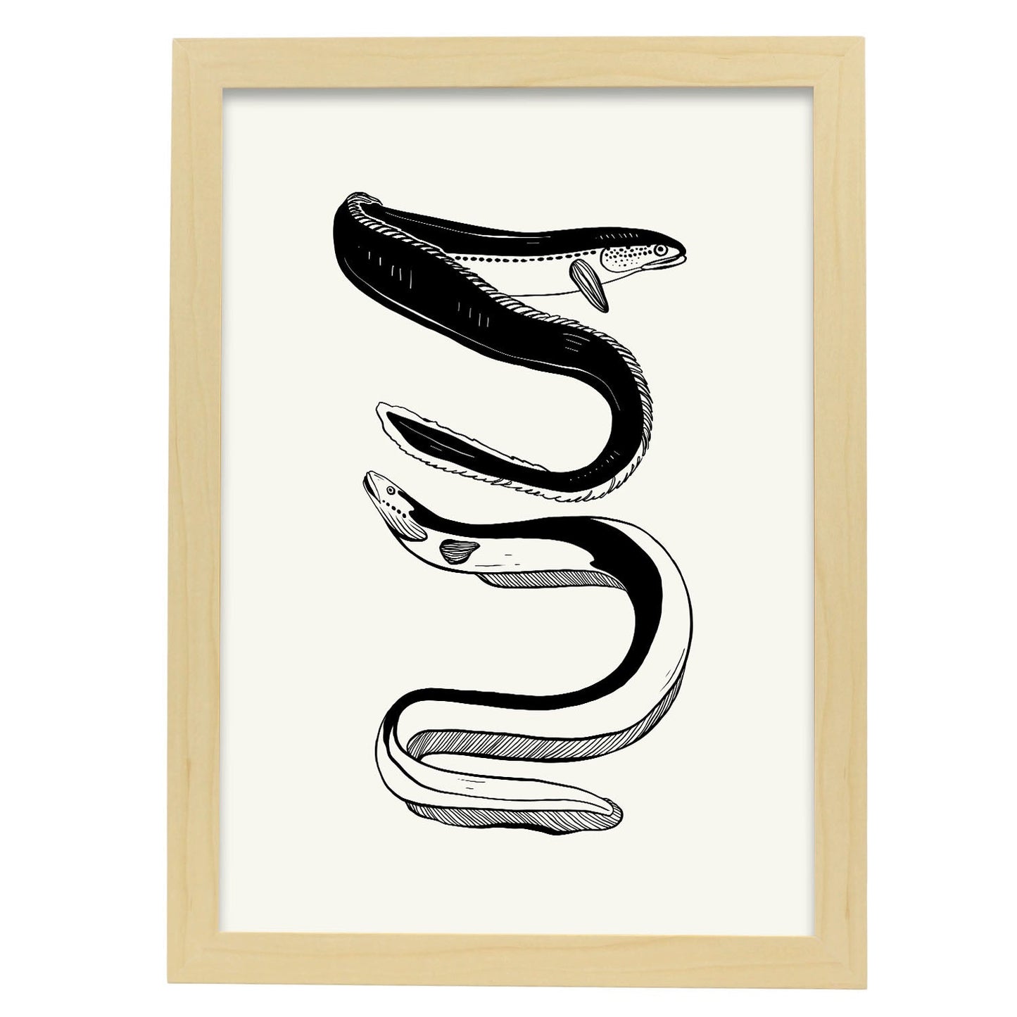 Eels-Artwork-Nacnic-A3-Marco Madera clara-Nacnic Estudio SL