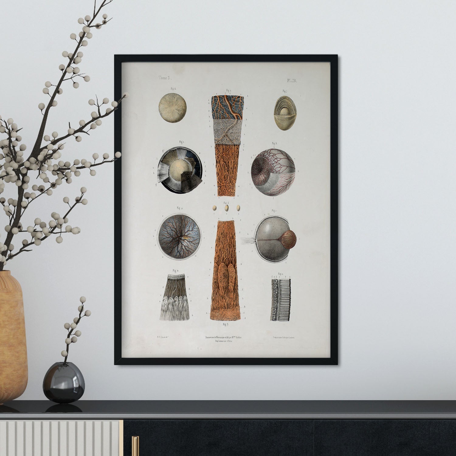 Eye-Artwork-Nacnic-Nacnic Estudio SL