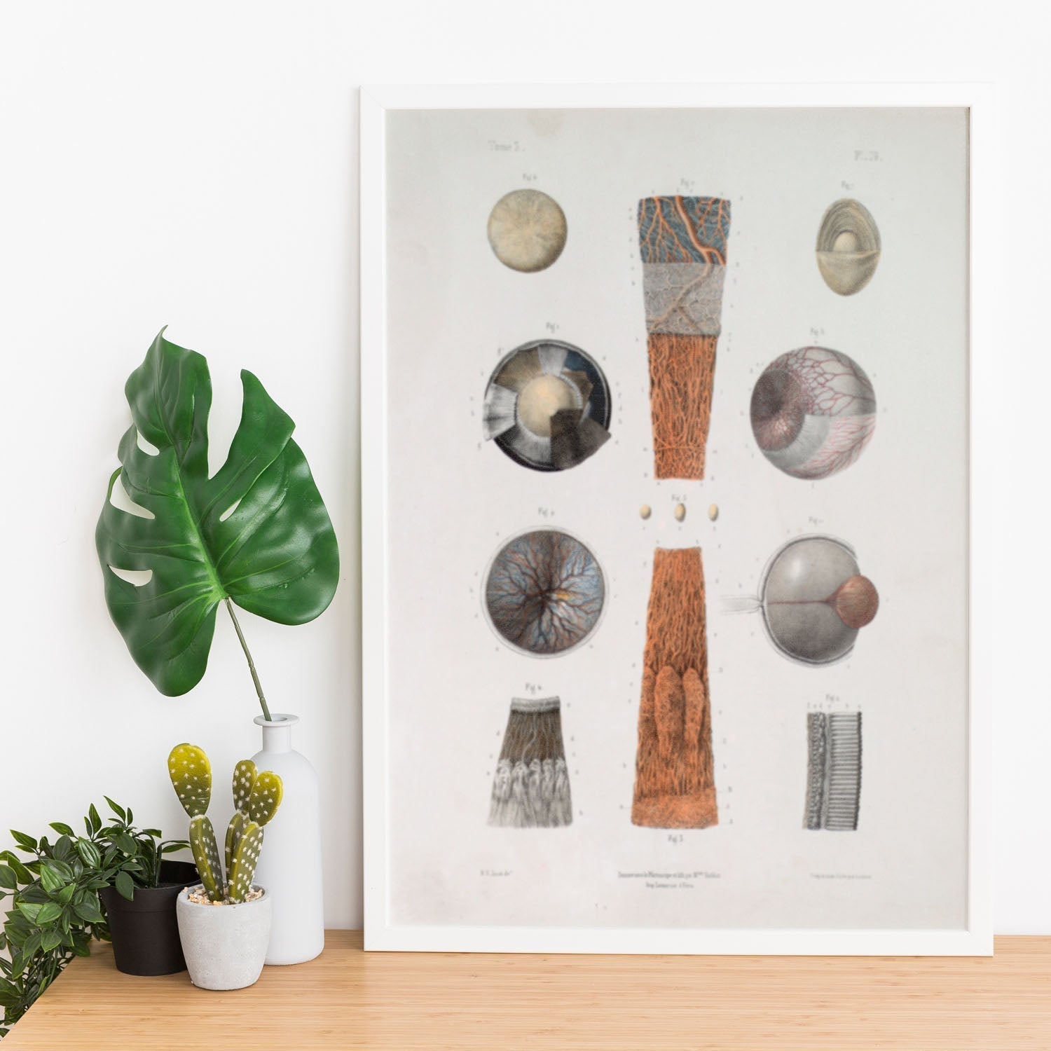 Eye-Artwork-Nacnic-Nacnic Estudio SL