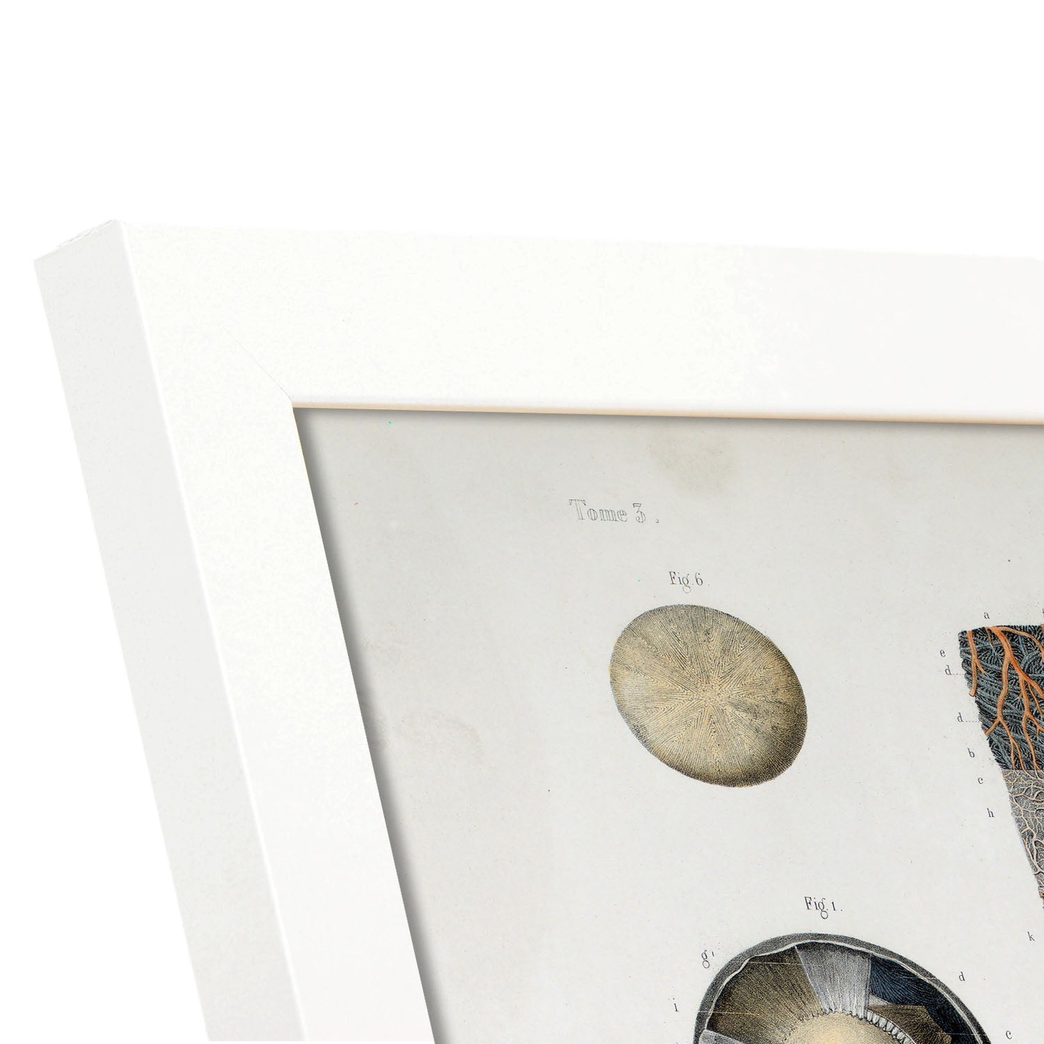 Eye-Artwork-Nacnic-Nacnic Estudio SL