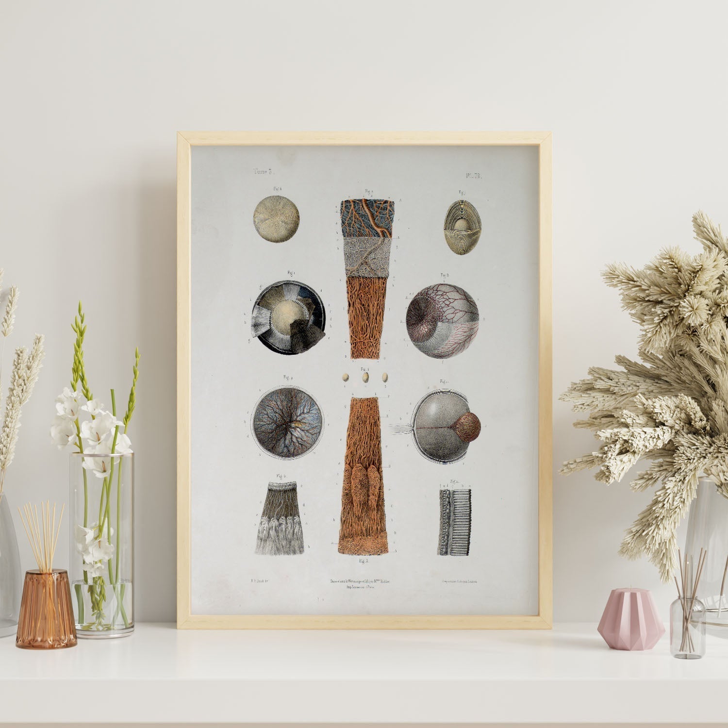 Eye-Artwork-Nacnic-Nacnic Estudio SL