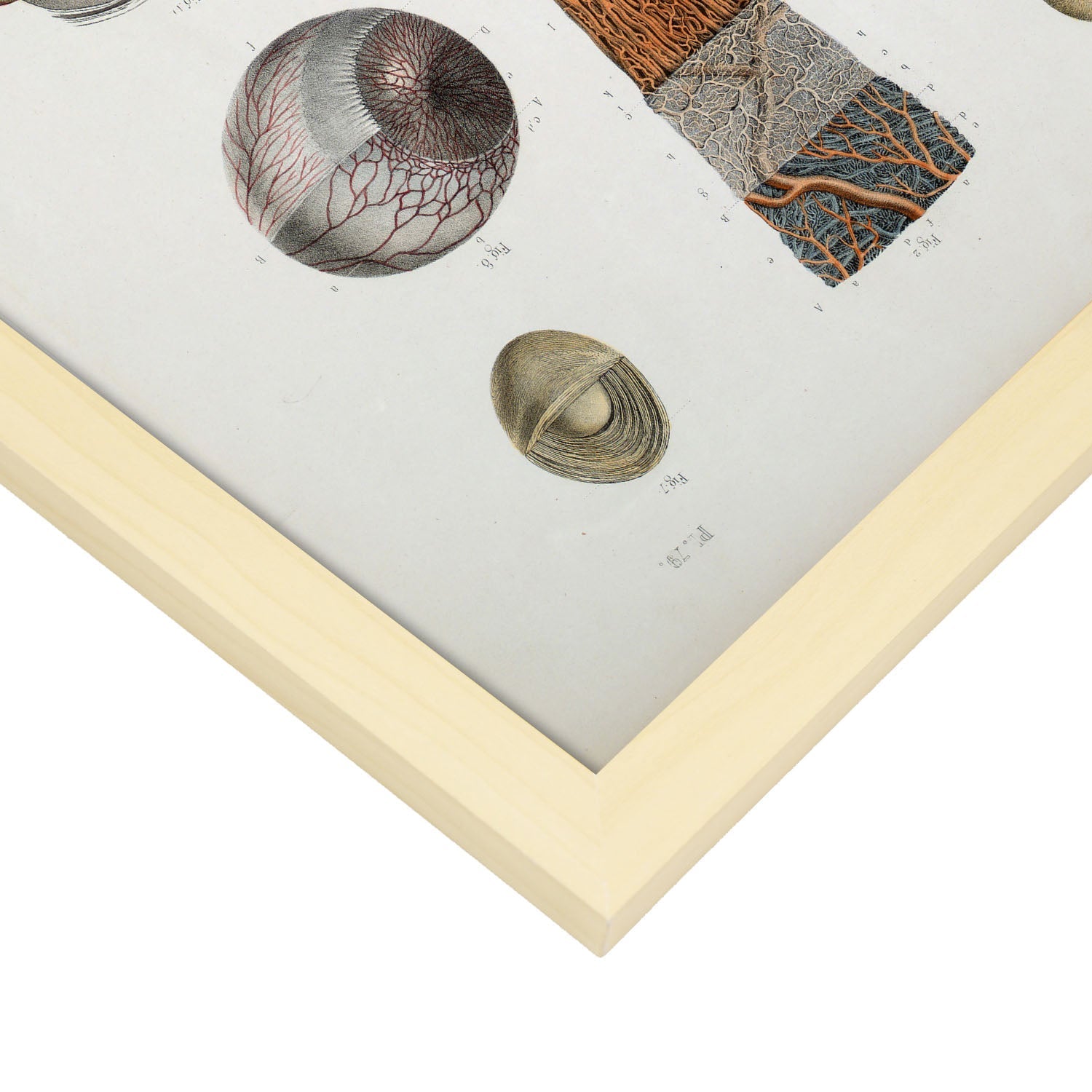 Eye-Artwork-Nacnic-Nacnic Estudio SL