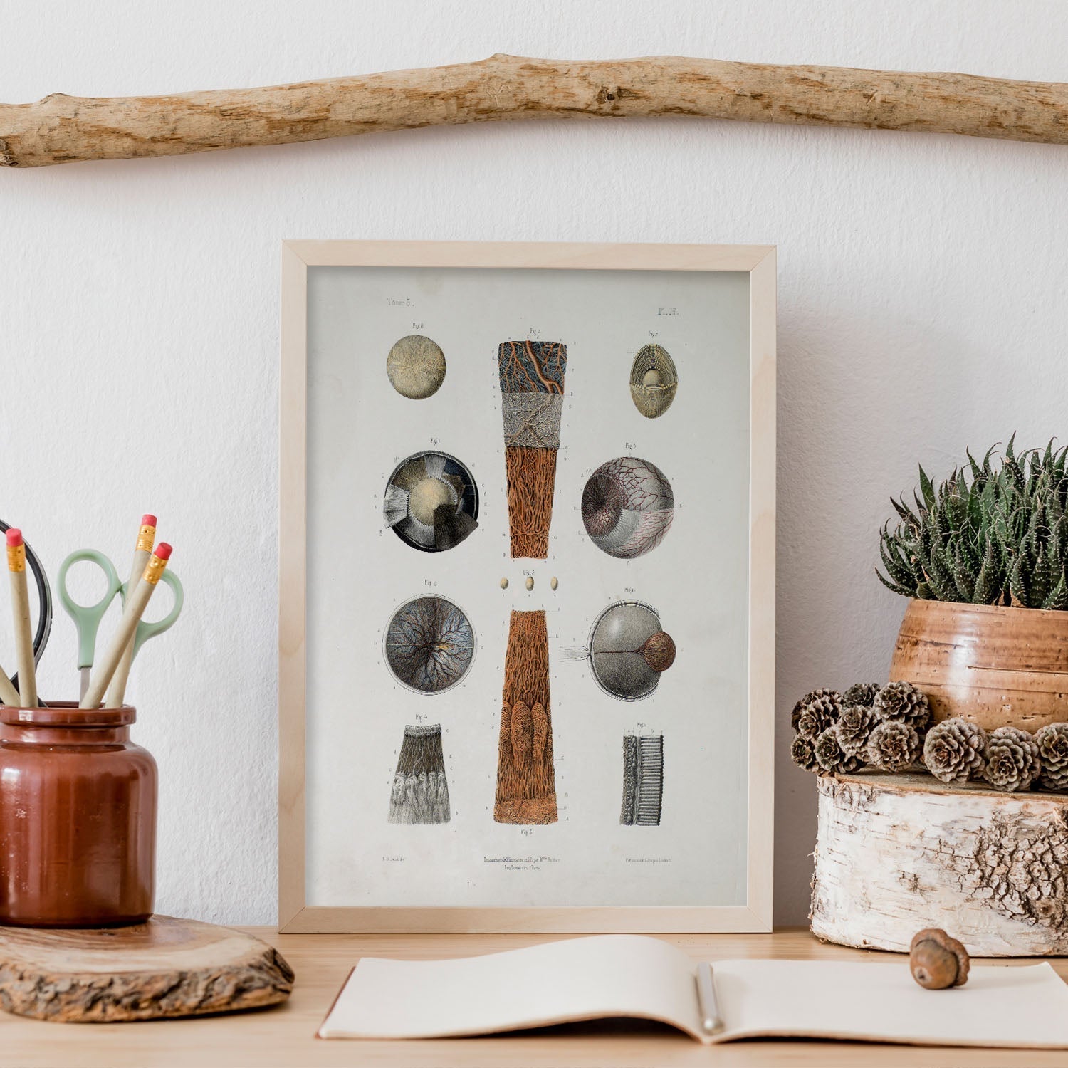 Eye-Artwork-Nacnic-Nacnic Estudio SL