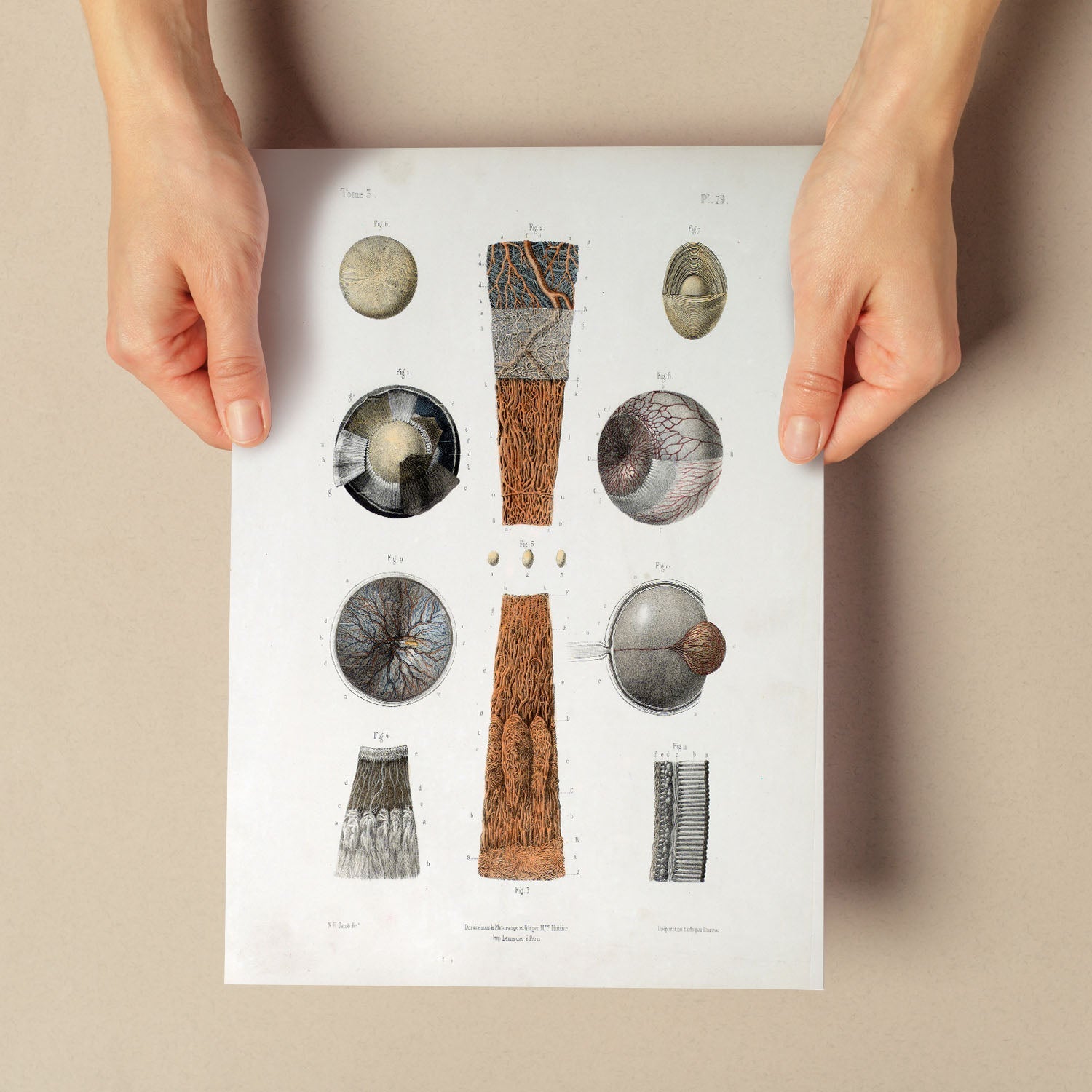 Eye-Artwork-Nacnic-Nacnic Estudio SL