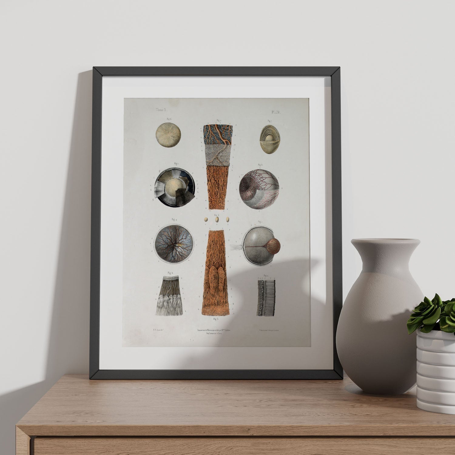 Eye-Artwork-Nacnic-Nacnic Estudio SL