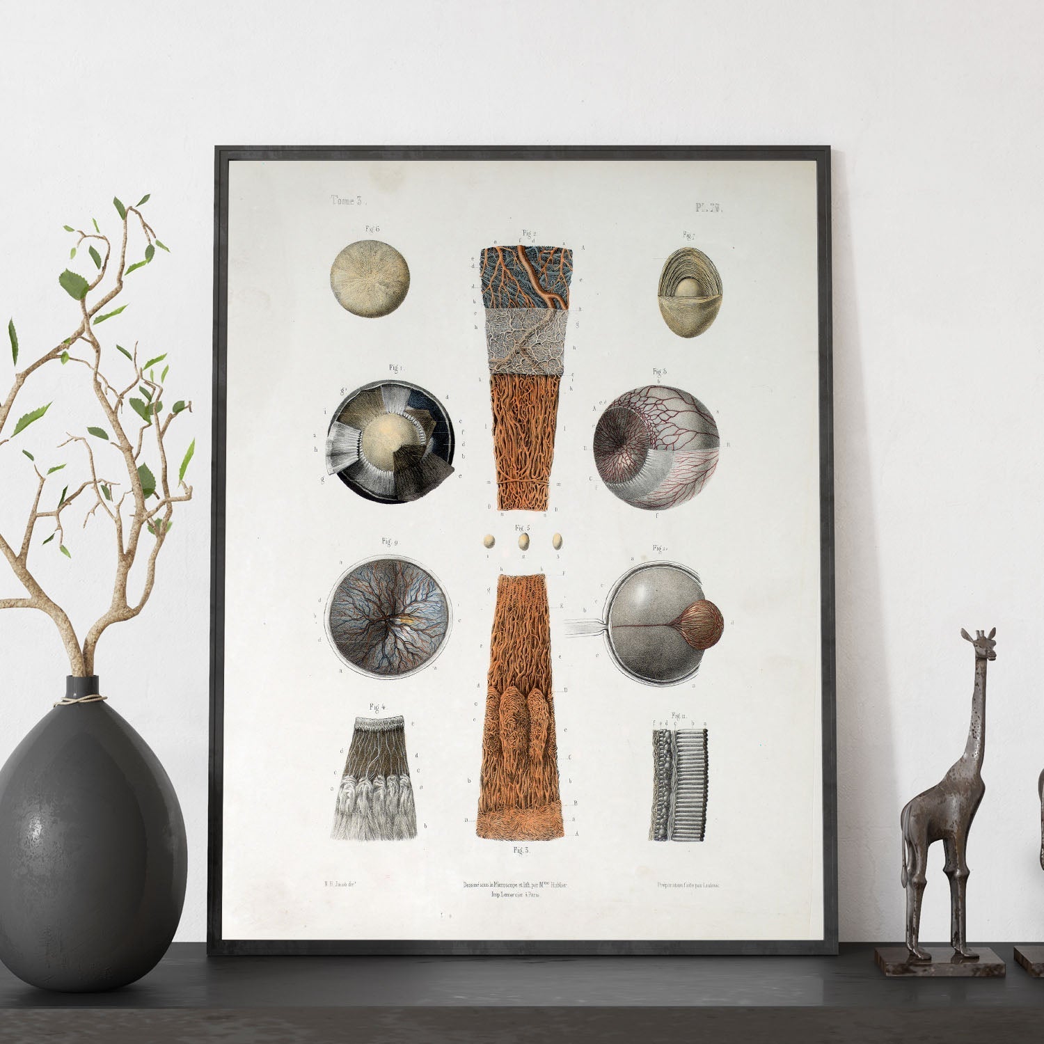 Eye-Artwork-Nacnic-Nacnic Estudio SL