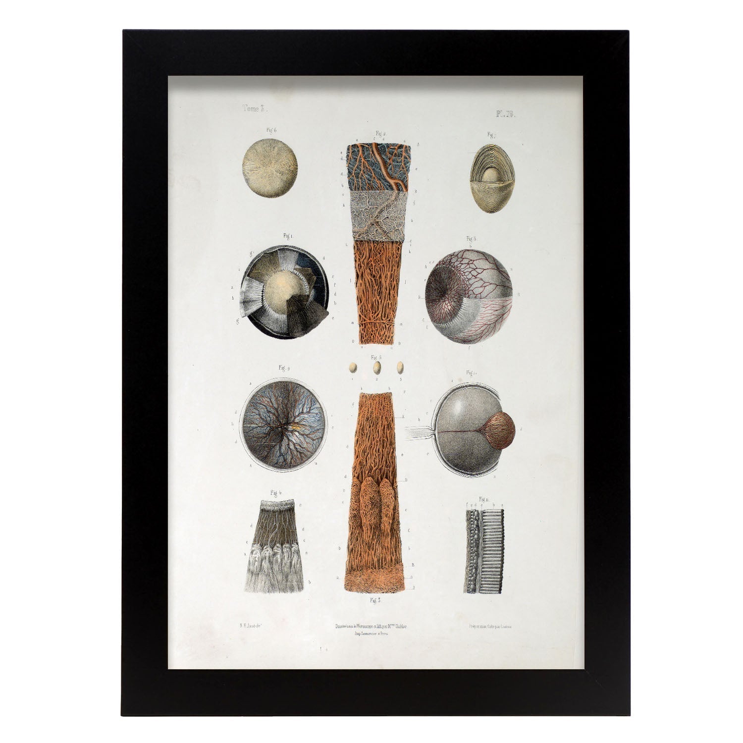 Eye-Artwork-Nacnic-A3-Sin marco-Nacnic Estudio SL