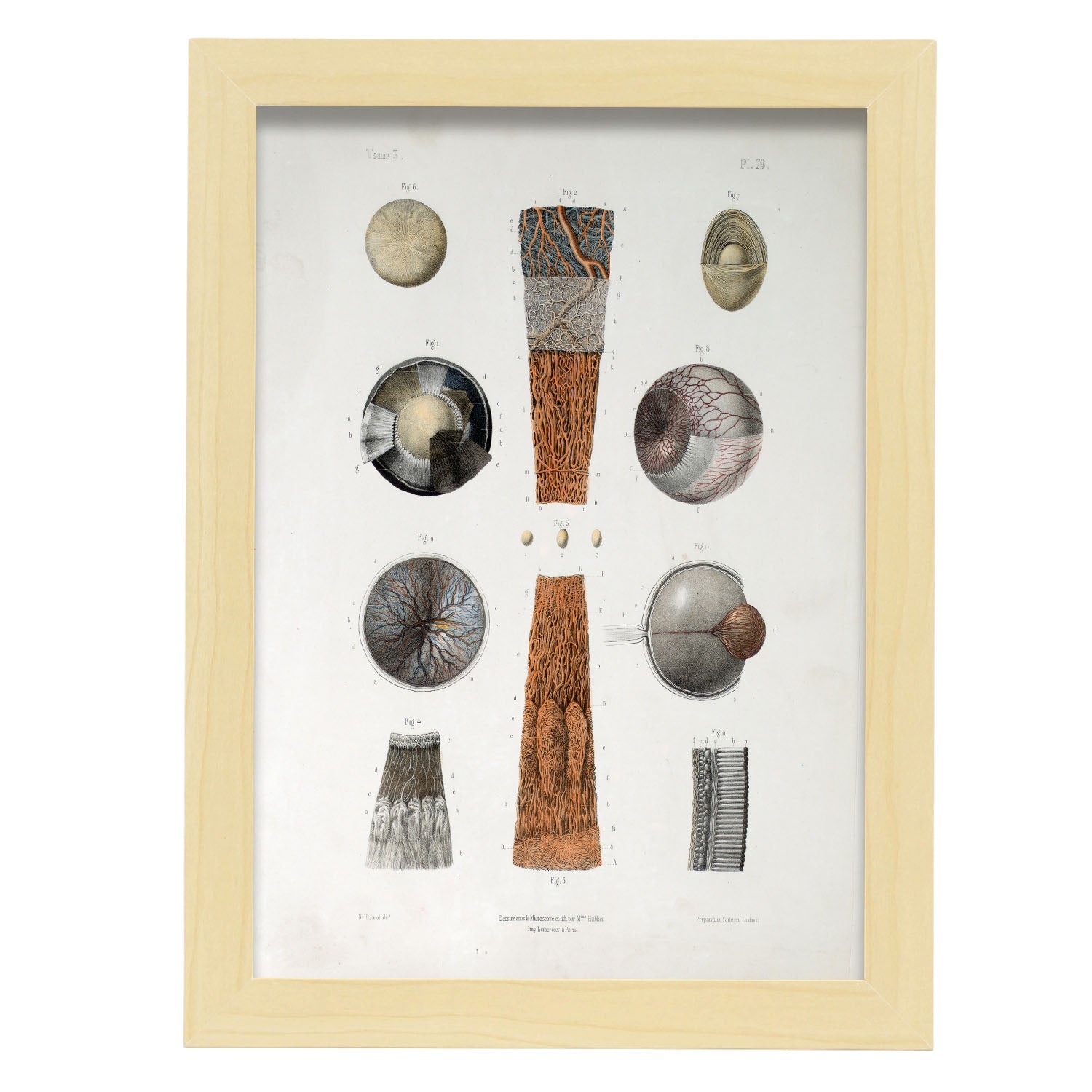 Eye-Artwork-Nacnic-A4-Marco Madera clara-Nacnic Estudio SL