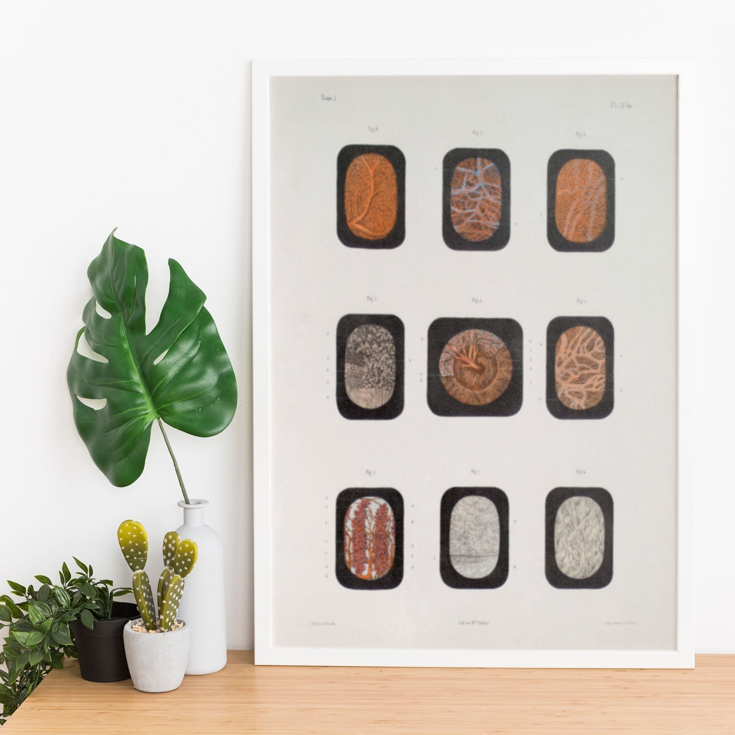 Eye, dissected and shown under a microscope-Artwork-Nacnic-Nacnic Estudio SL