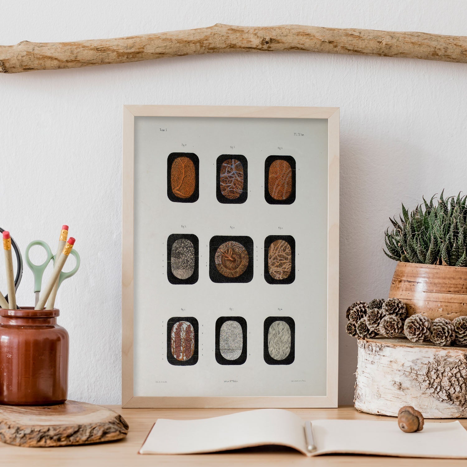 Eye, dissected and shown under a microscope-Artwork-Nacnic-Nacnic Estudio SL